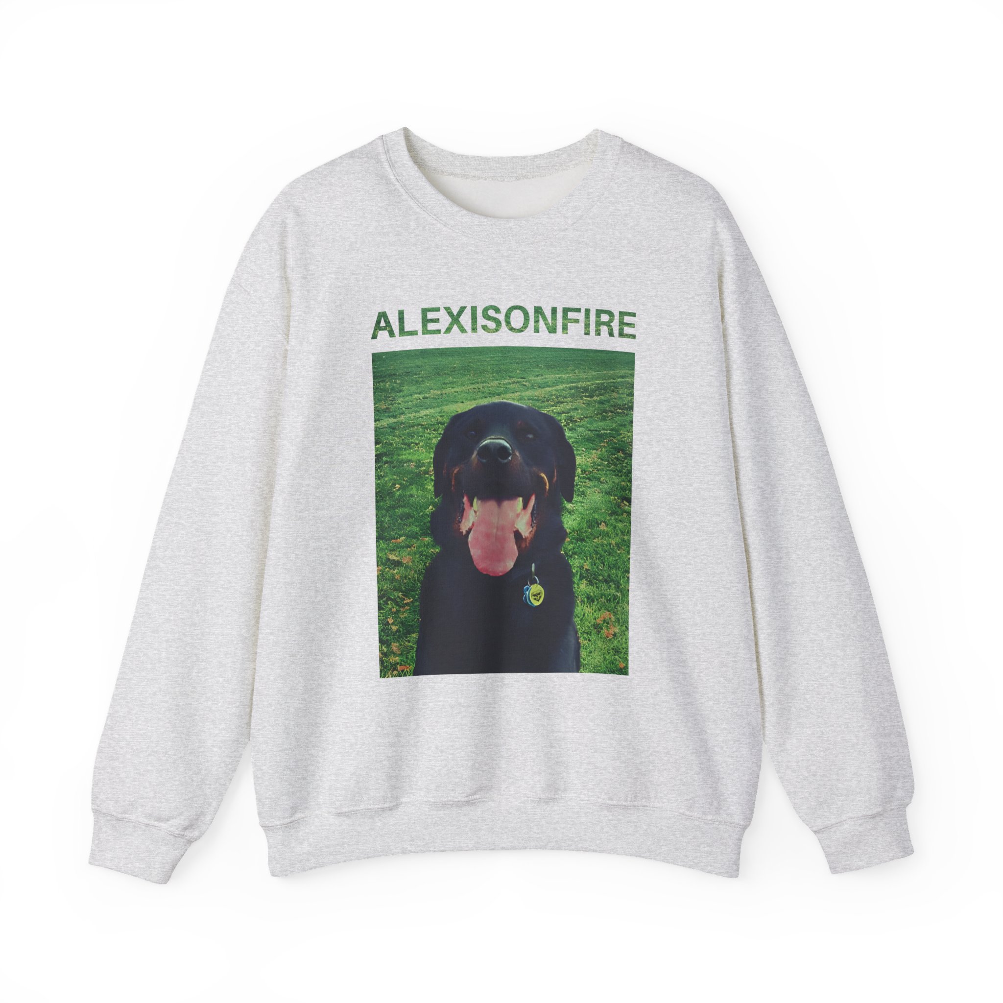 Alexisonfire Brixton Unisex Heavy Blendâ„¢ Crewneck Sweatshirt