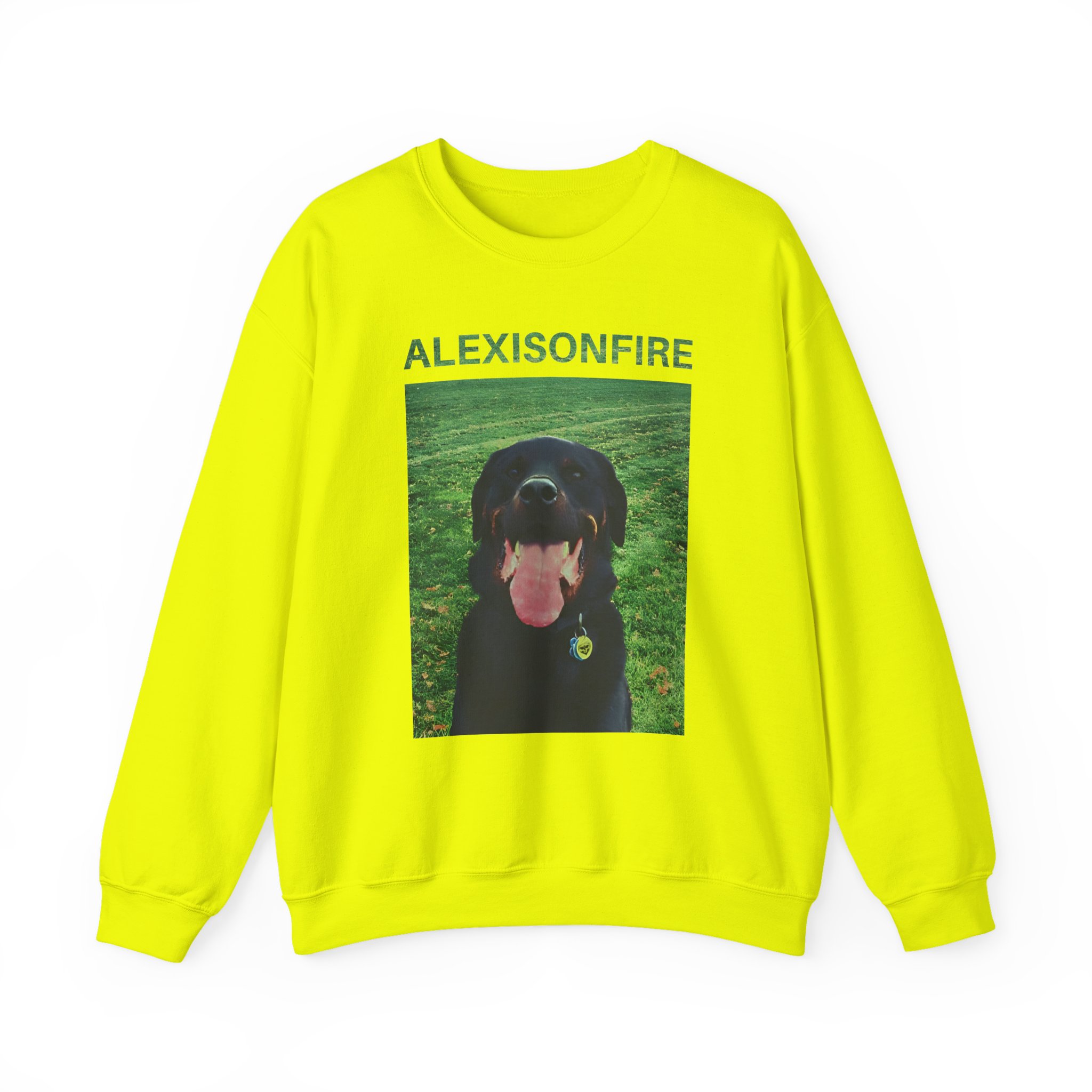 Alexisonfire Brixton Unisex Heavy Blendâ„¢ Crewneck Sweatshirt
