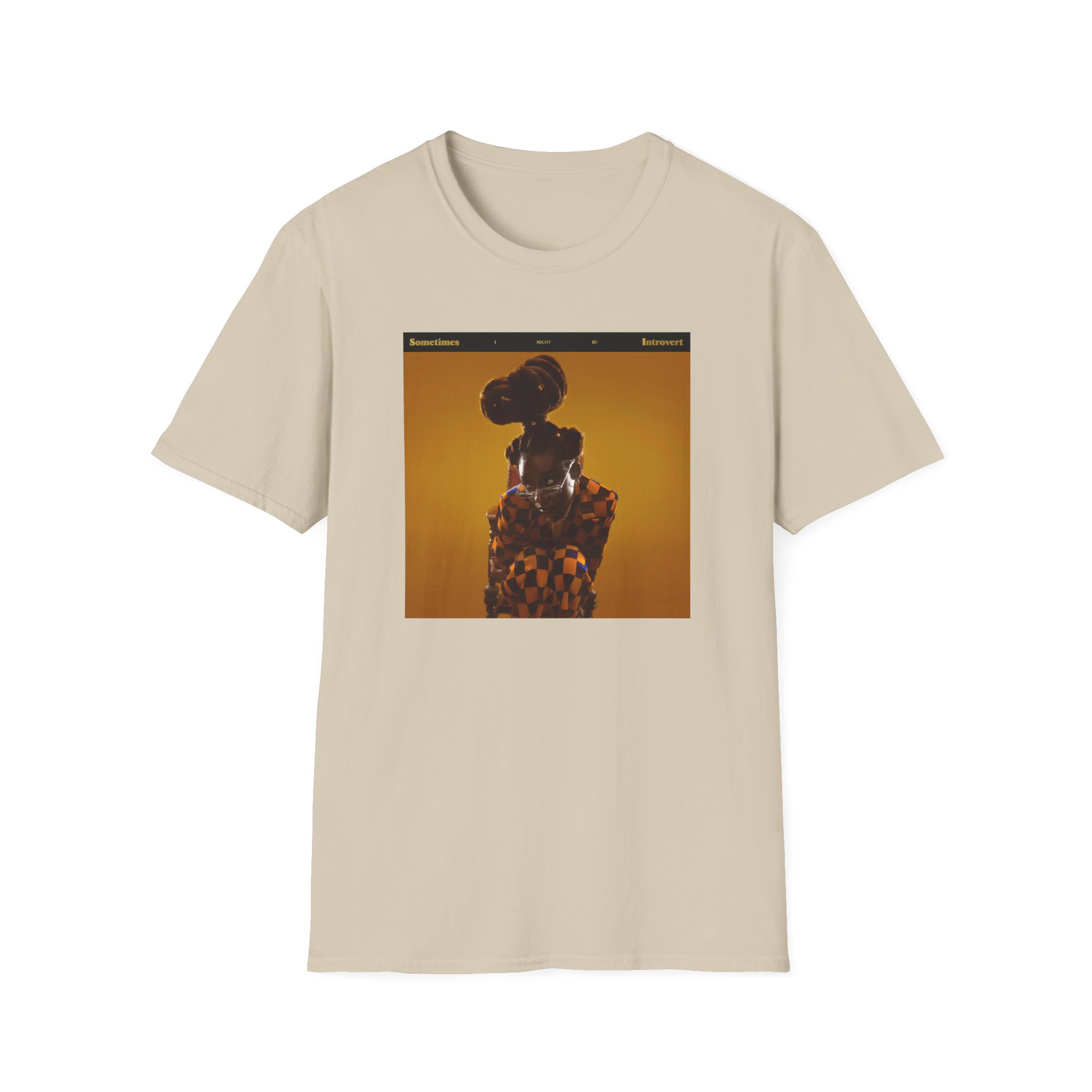 Little Simz Sometimes I Might Be Introvert Unisex Softstyle T-Shirt