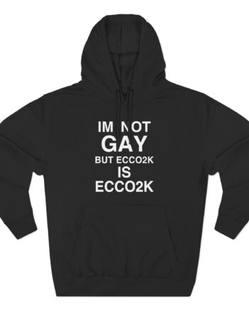 Ecco2k, I’m Not Gay but Ecco2k is Ecco2k Three-Panel Fleece Hoodie