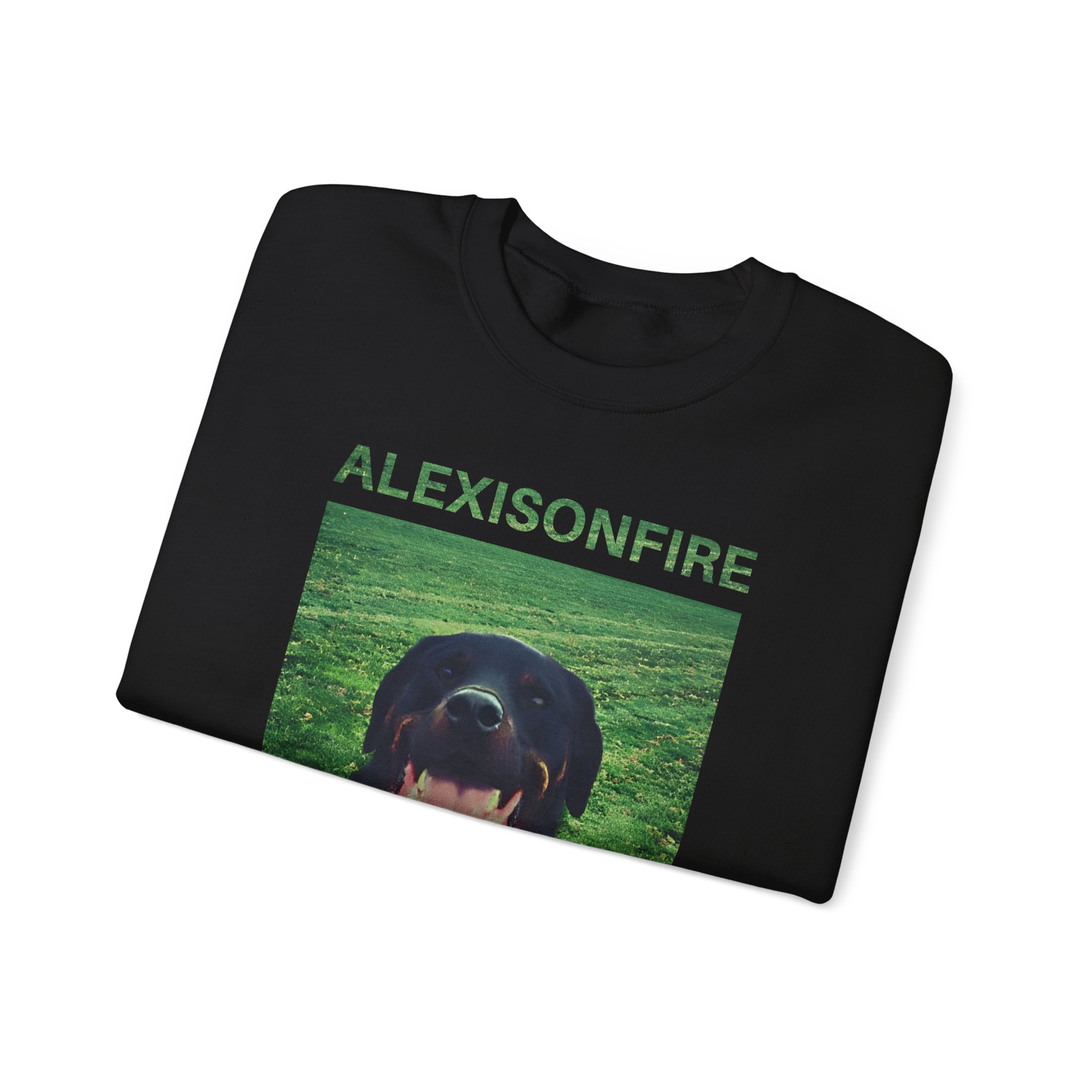 Alexisonfire Brixton Unisex Heavy Blendâ„¢ Crewneck Sweatshirt