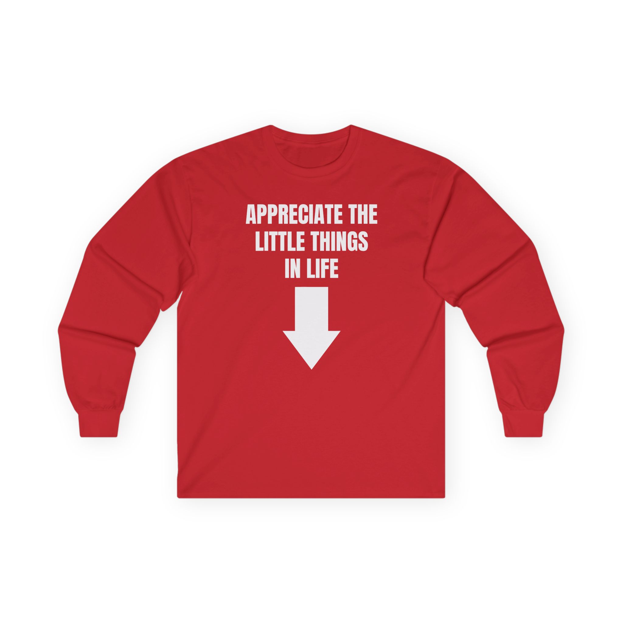 Jynxzi Appreciate the Little Things in Life Unisex Ultra Cotton Long Sleeve Tee