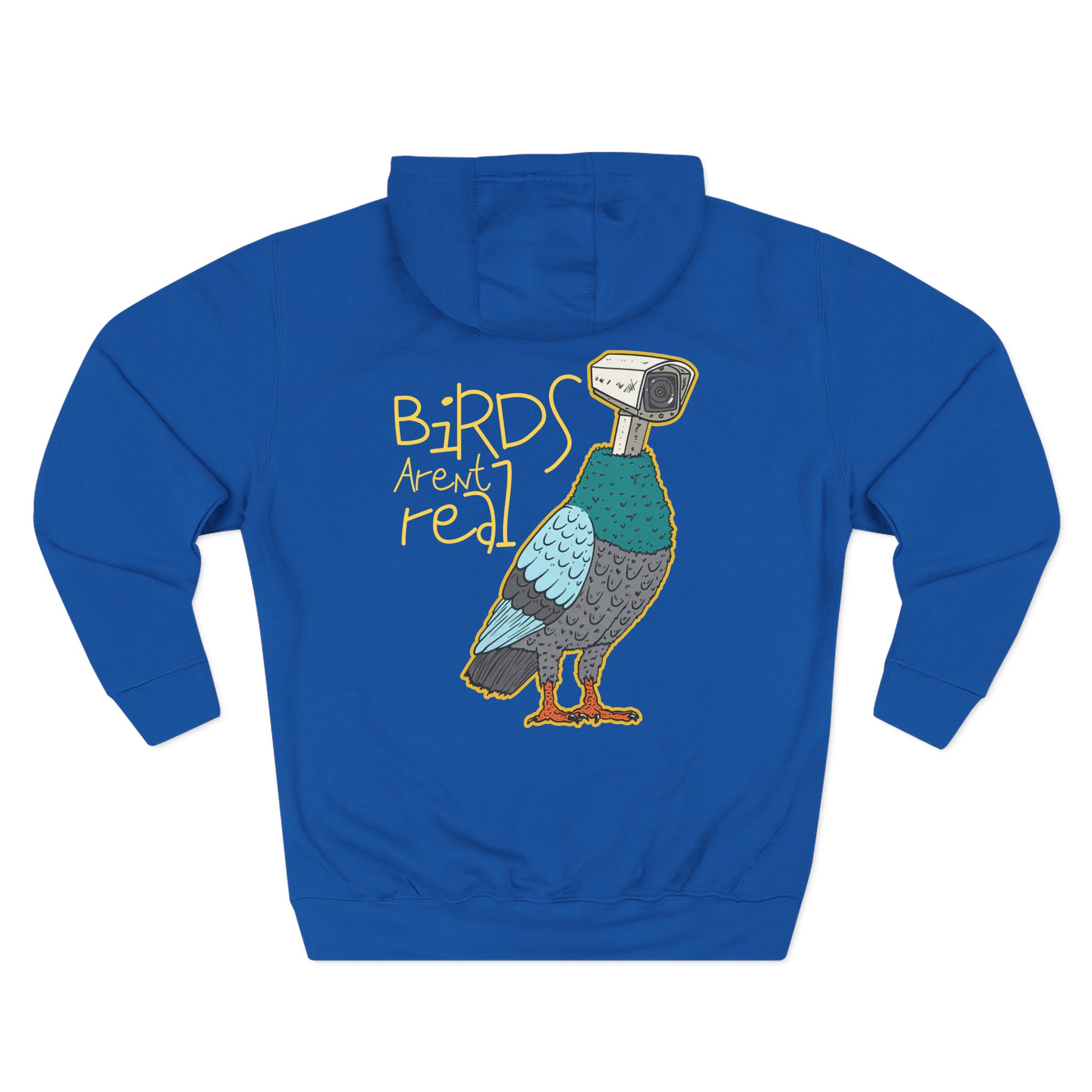 Birds Arent Real Three-Panel Fleece Hoodie
