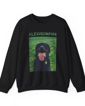 Alexisonfire Brixton Unisex Heavy Blend™ Crewneck Sweatshirt