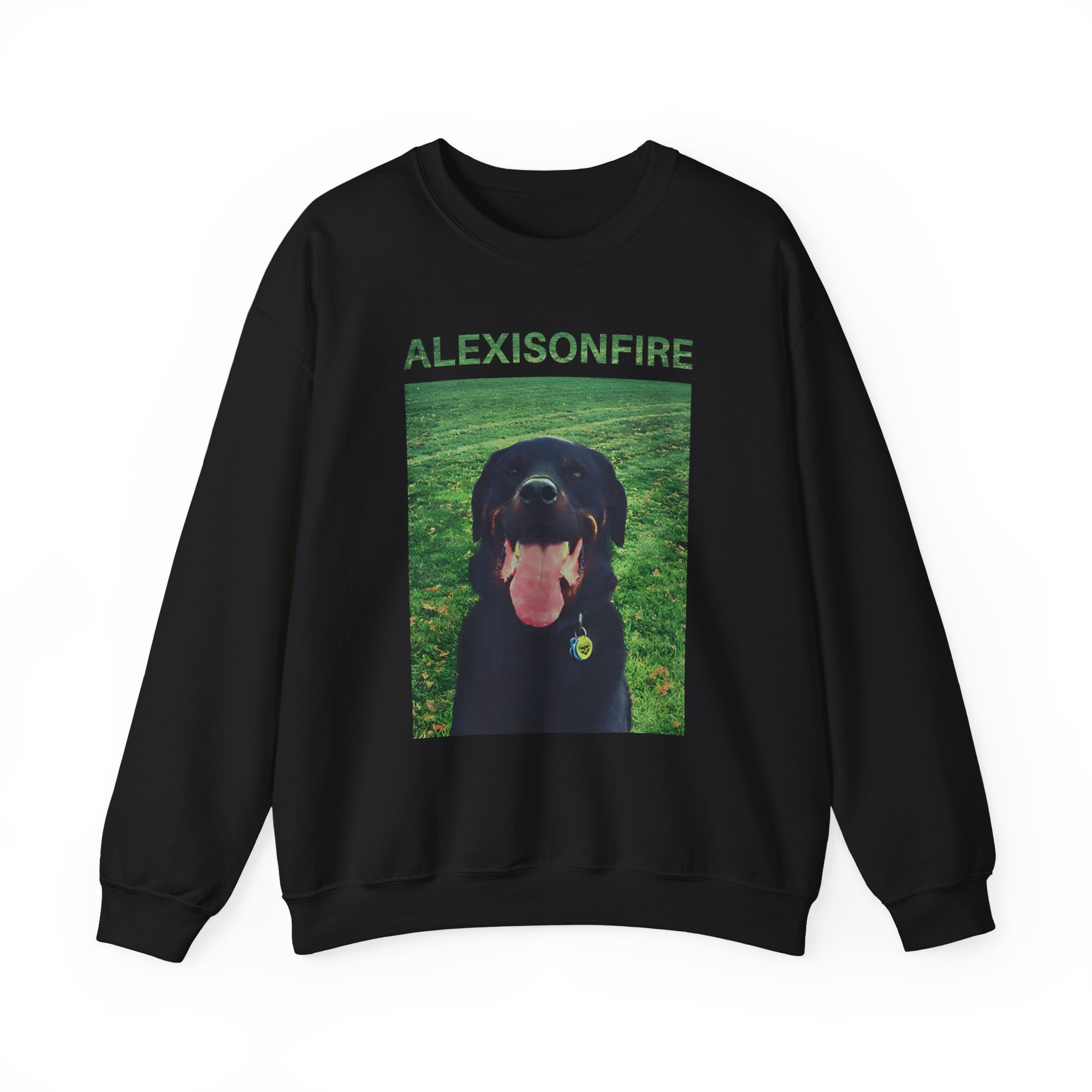 Alexisonfire Brixton Unisex Heavy Blendâ„¢ Crewneck Sweatshirt