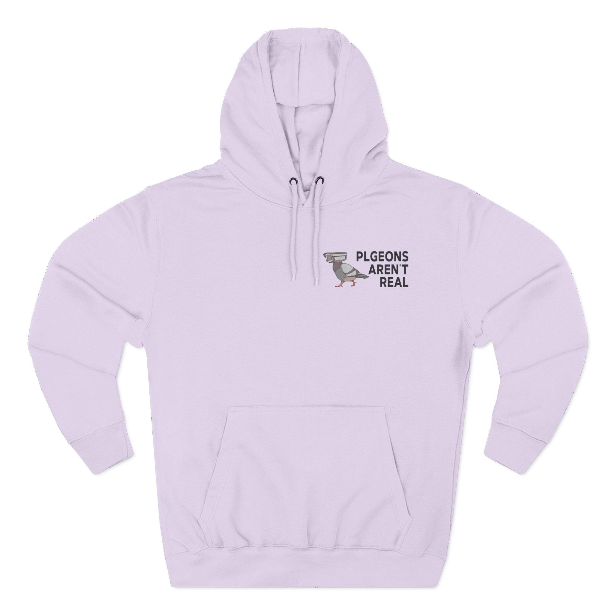 Birds Arent Real Three-Panel Fleece Hoodie