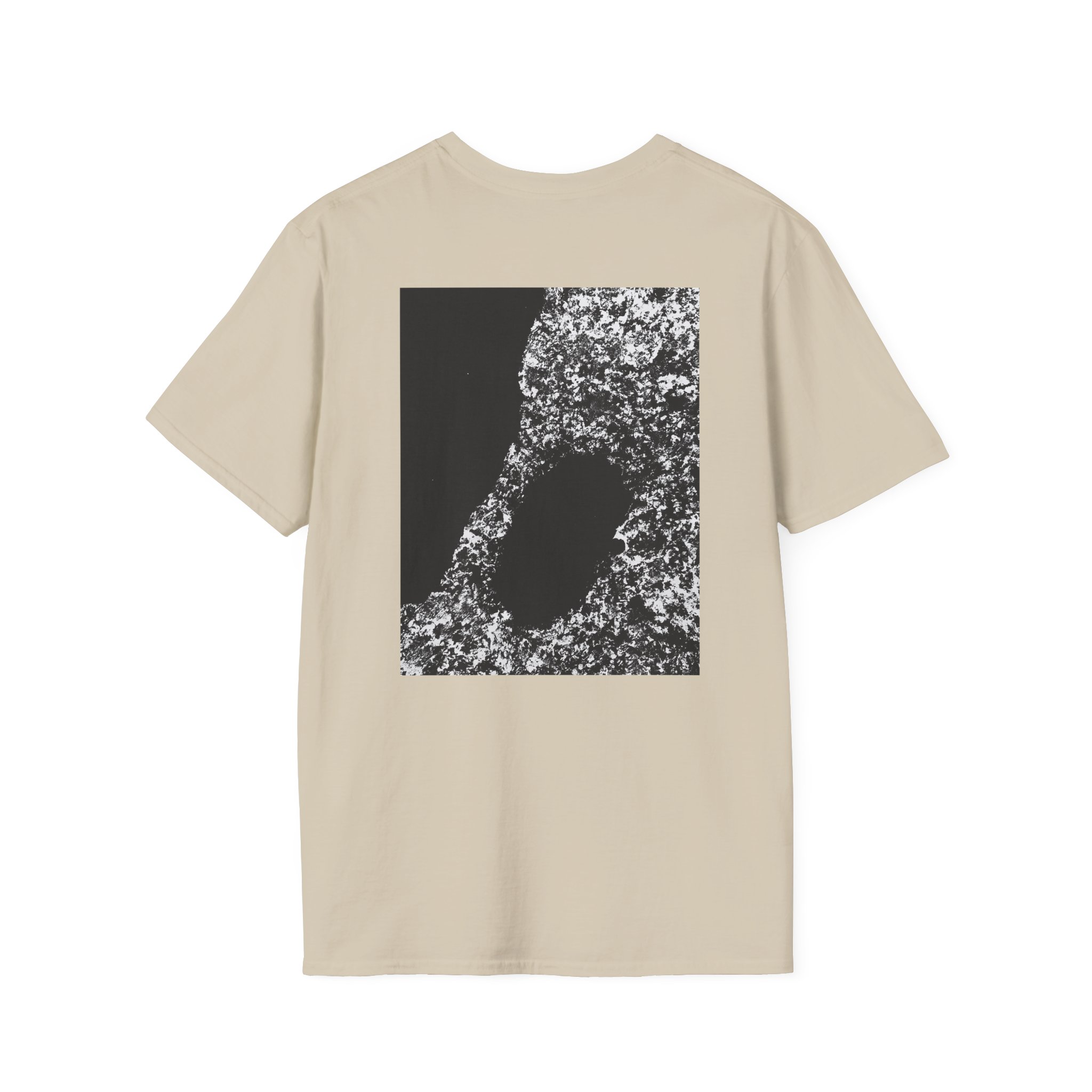 Bicep AYR Unisex Softstyle T-Shirt