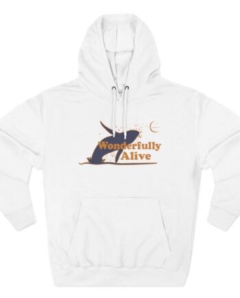 Owl City Wonderfully Alive 3/4 Three-Panel Fleece Hoodie