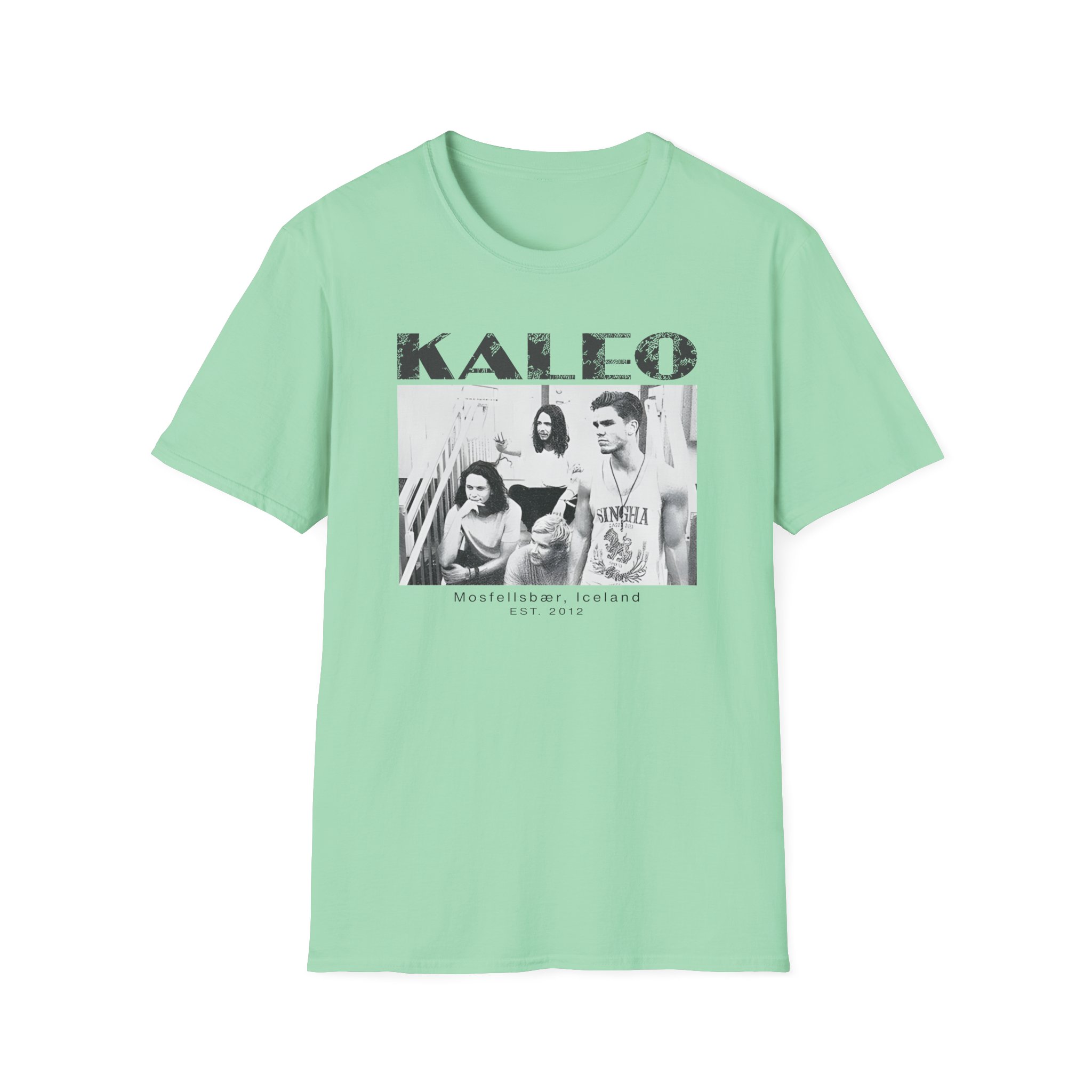 Kaleo 10 Year Anniversary Unisex Softstyle T-Shirt