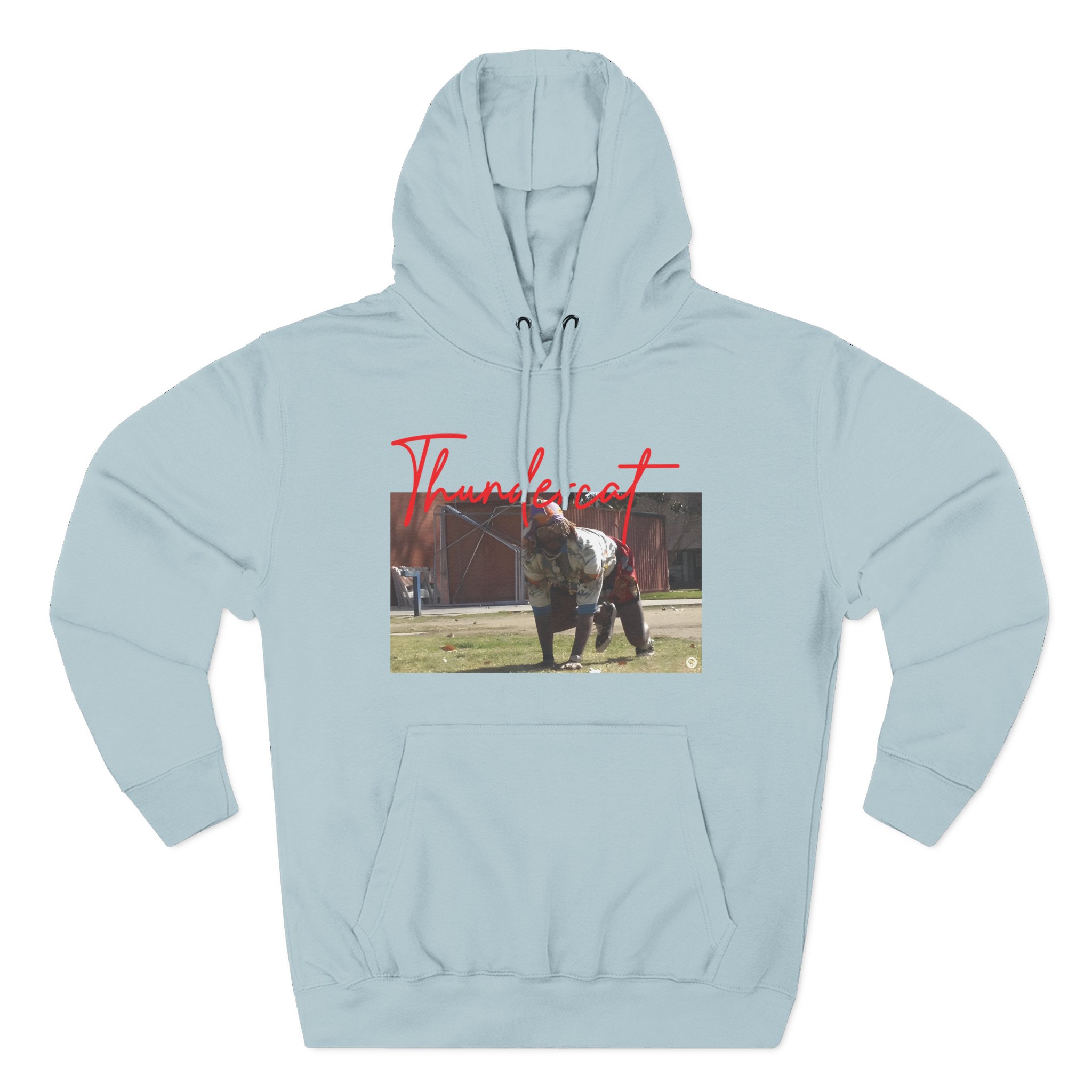 Thundercat Crouching Three-Panel Fleece Hoodie