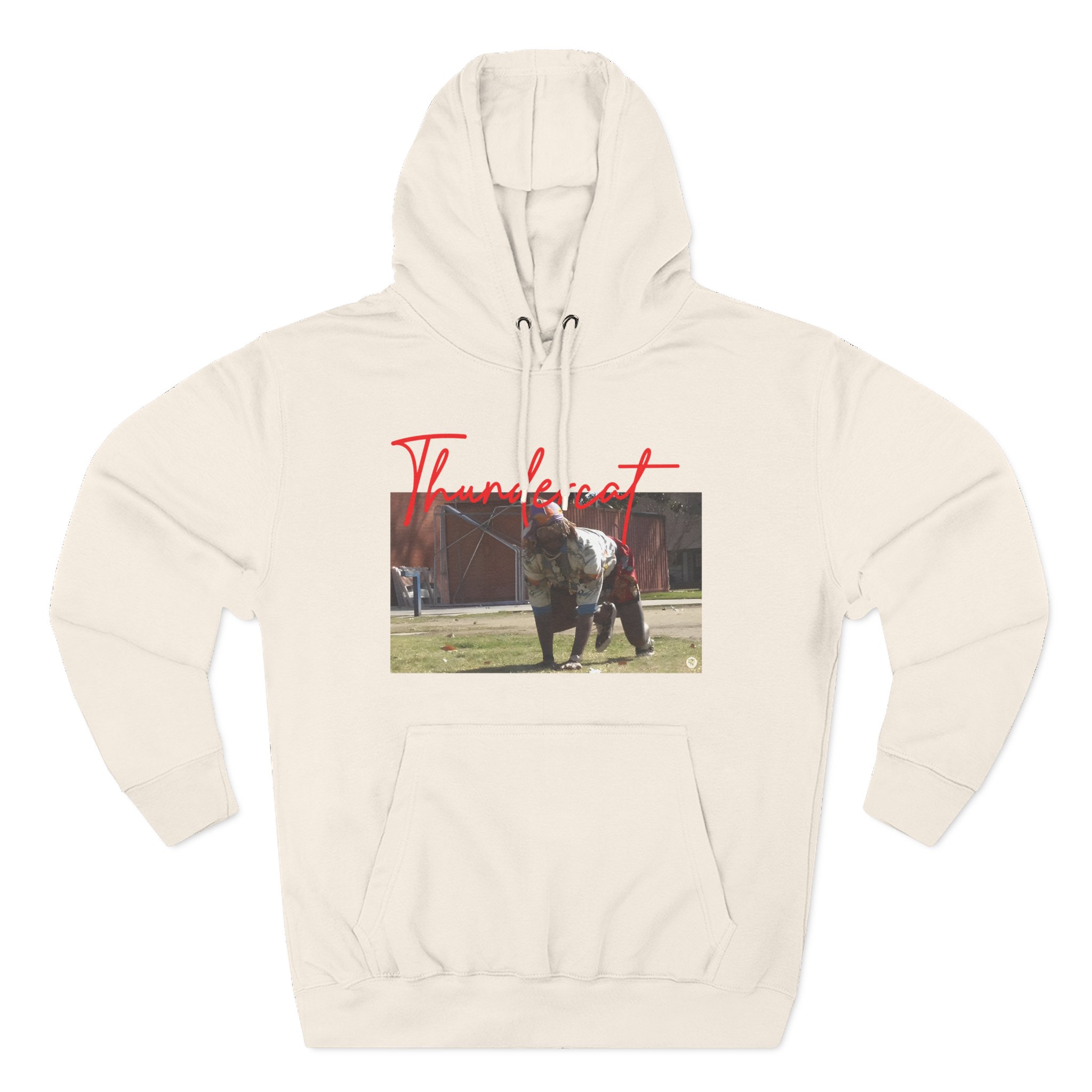 Thundercat Crouching Three-Panel Fleece Hoodie