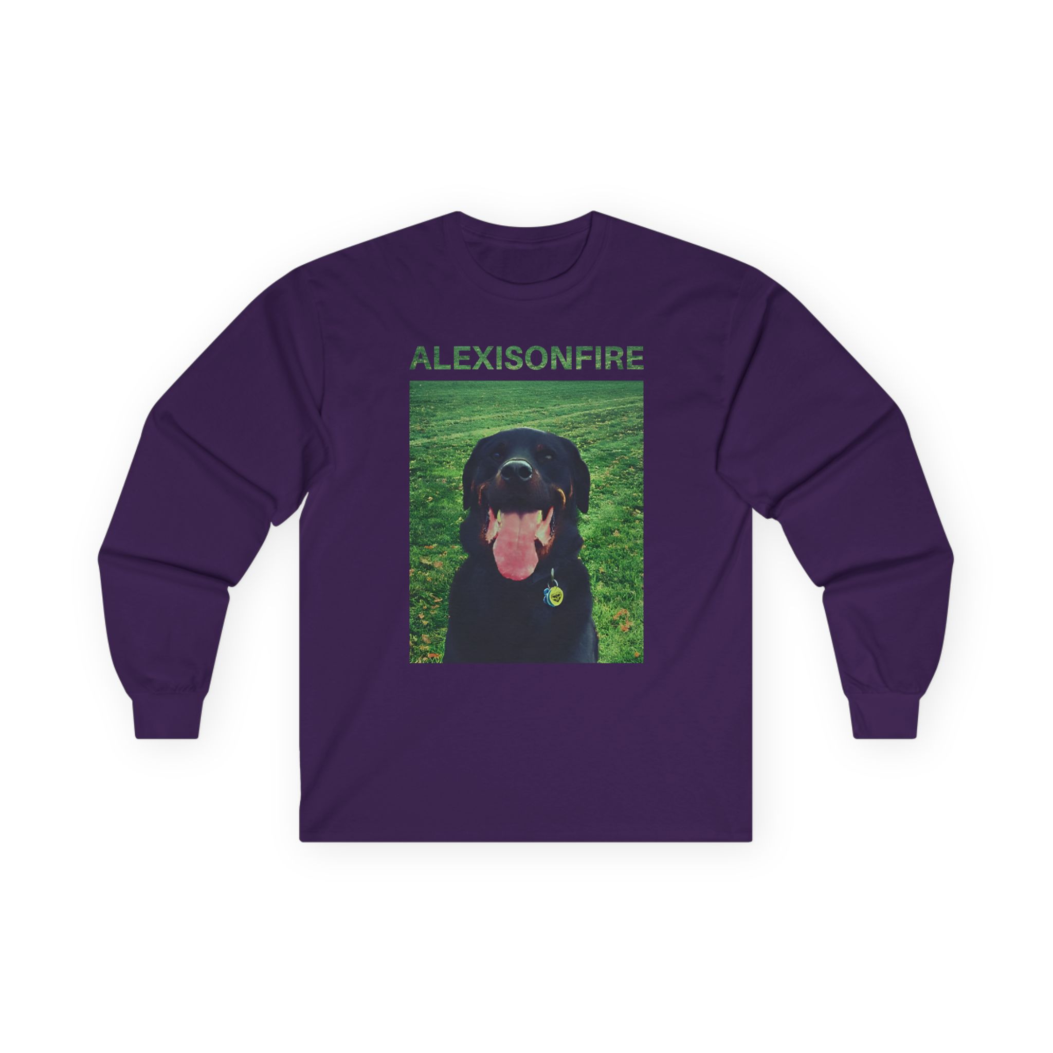 Alexisonfire Brixton Unisex Ultra Cotton Long Sleeve Tee