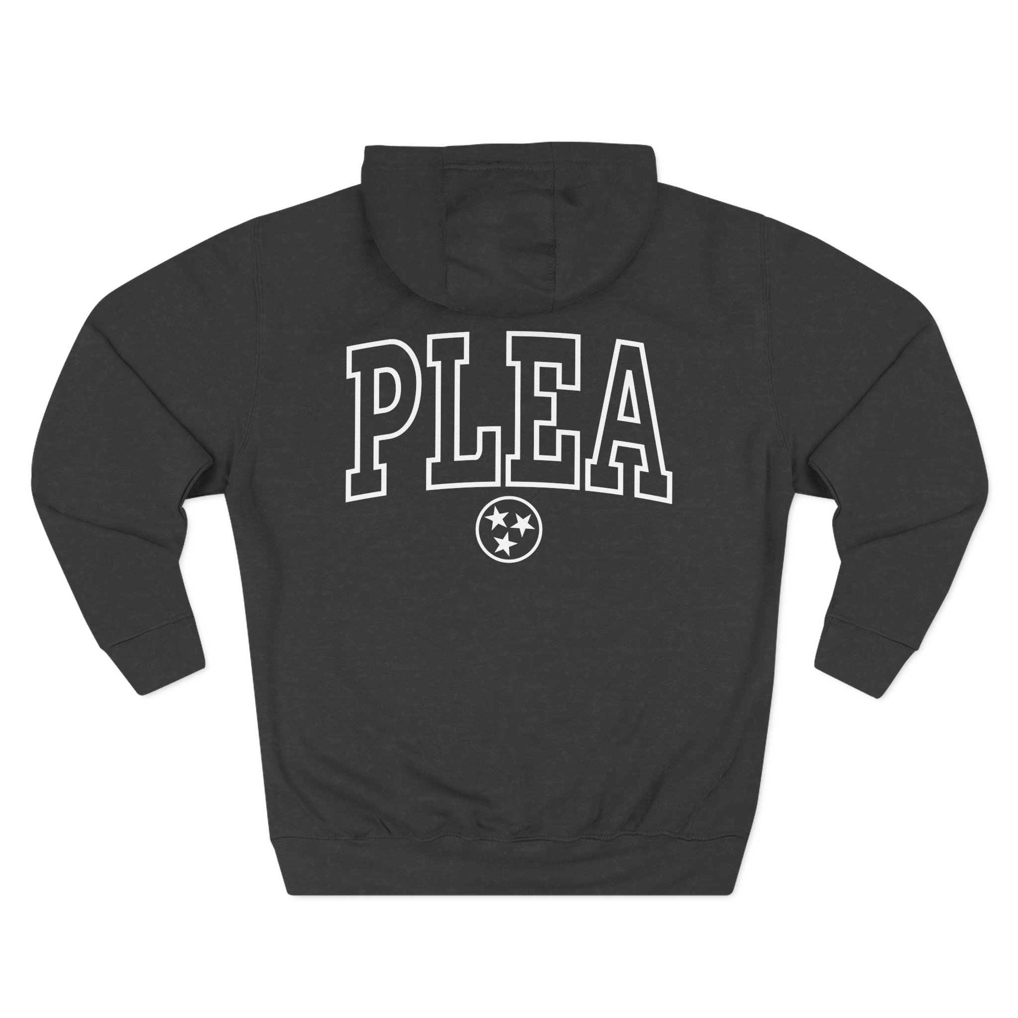 A Plea for Purging Plea Three-Panel Fleece Hoodie