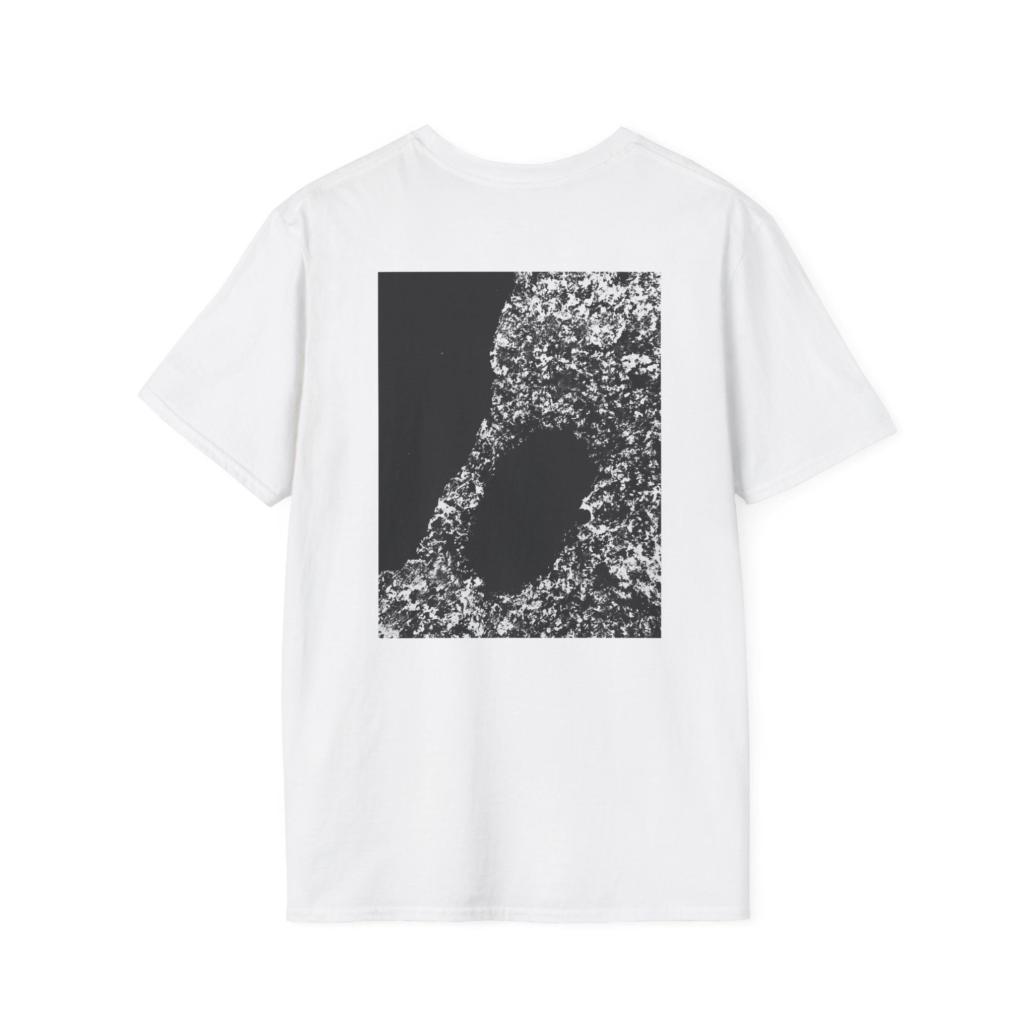 Bicep AYR Unisex Softstyle T-Shirt