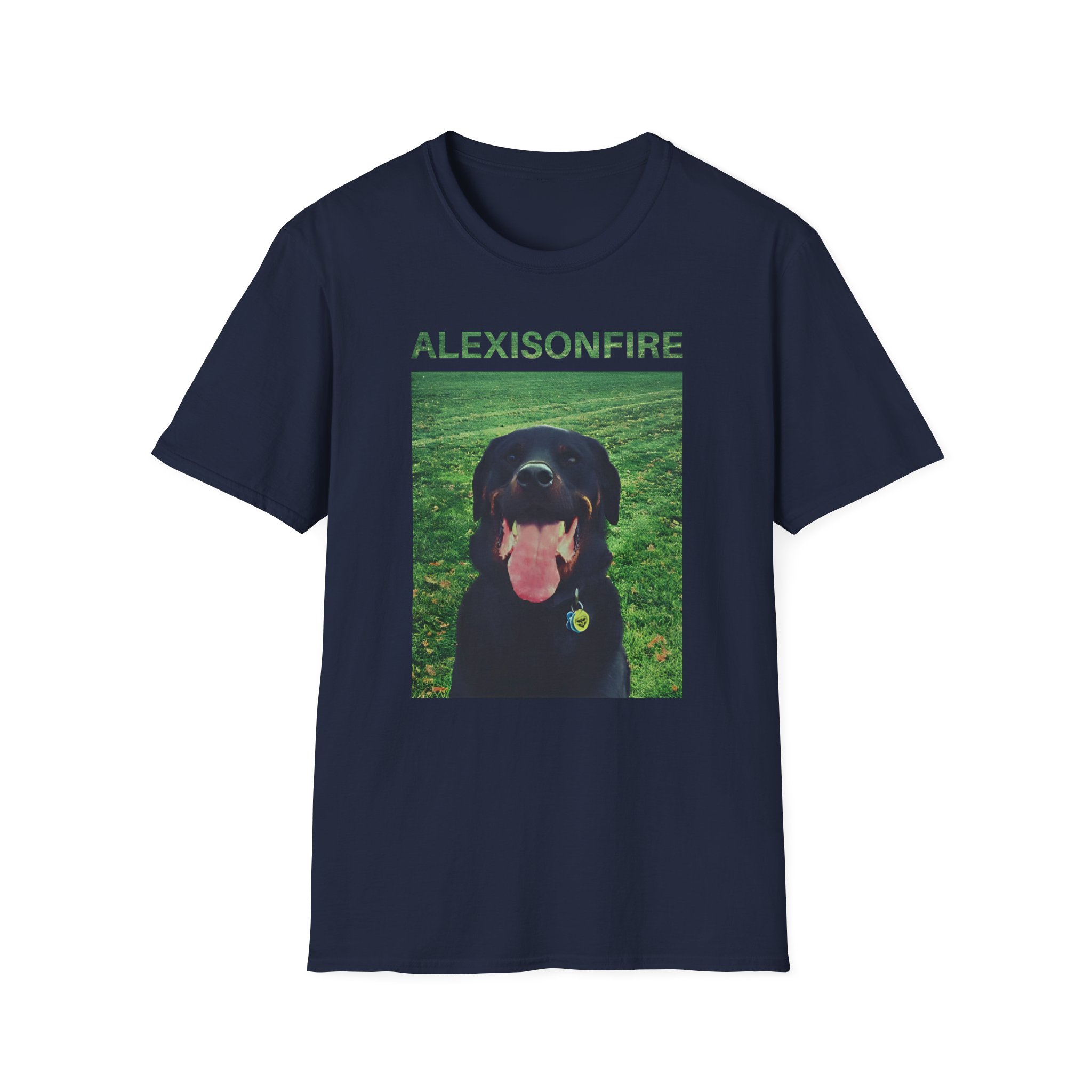 Alexisonfire Brixton Unisex Softstyle T-Shirt