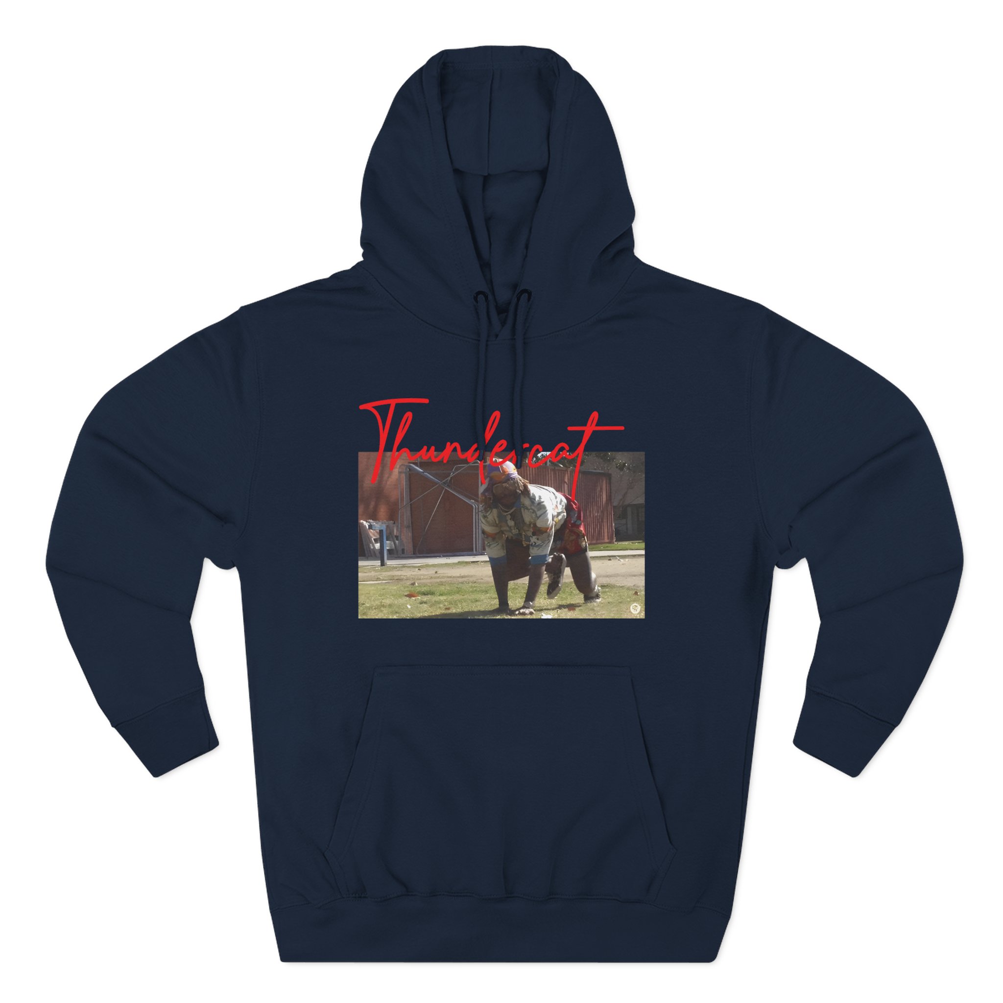 Thundercat Crouching Three-Panel Fleece Hoodie