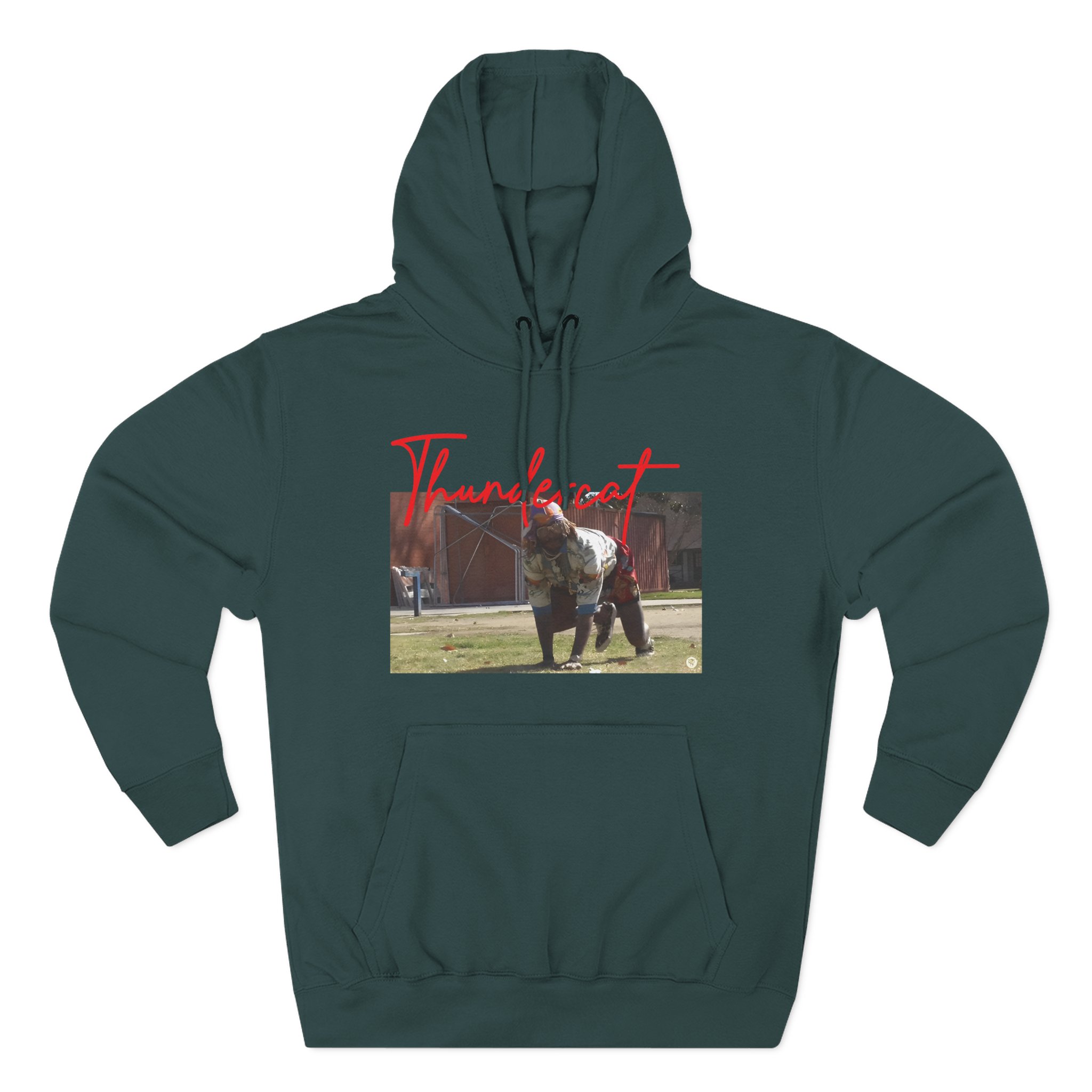 Thundercat Crouching Three-Panel Fleece Hoodie