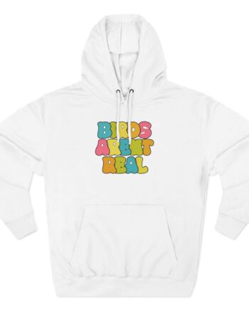 Birds Arent Real Three-Panel Fleece Hoodie