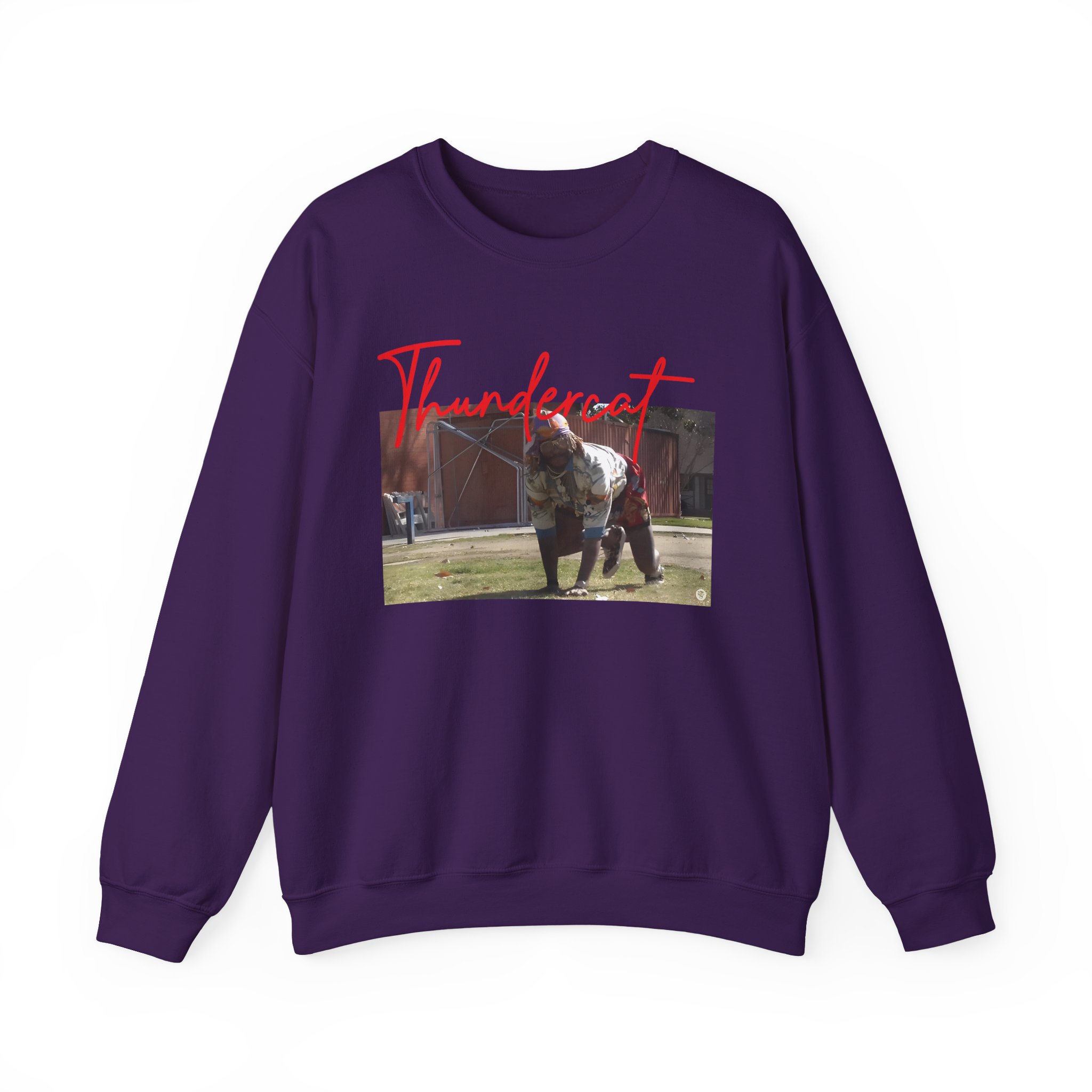 Thundercat Crouching Unisex Heavy Blendâ„¢ Crewneck Sweatshirt