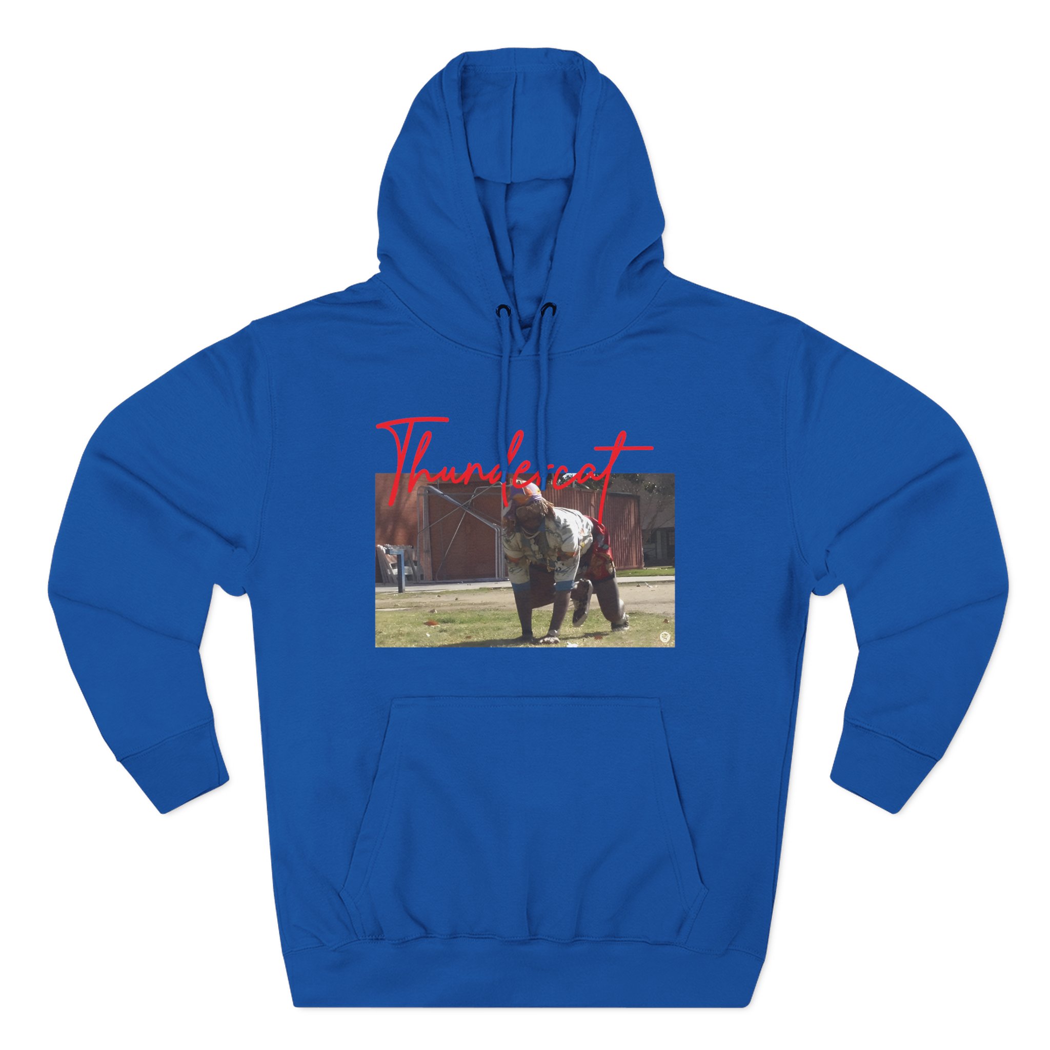 Thundercat Crouching Three-Panel Fleece Hoodie