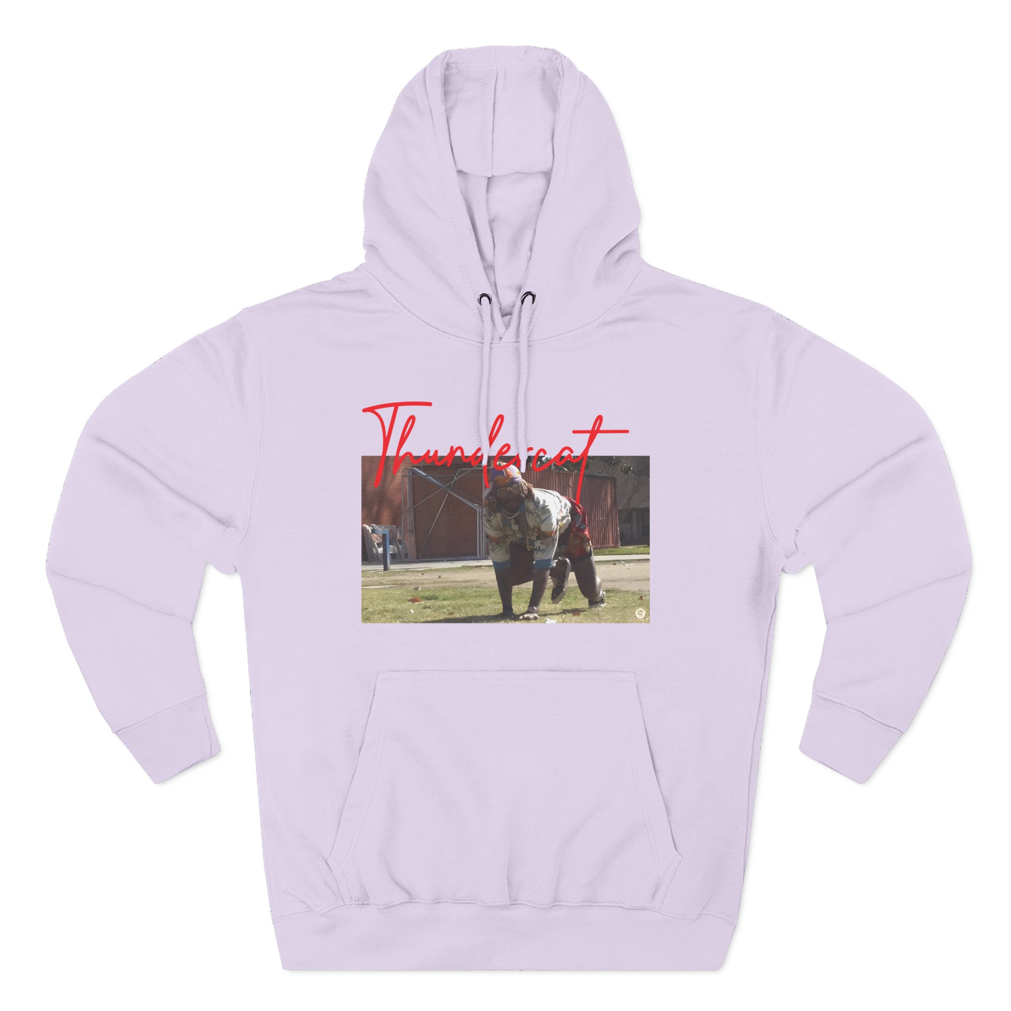 Thundercat Crouching Three-Panel Fleece Hoodie