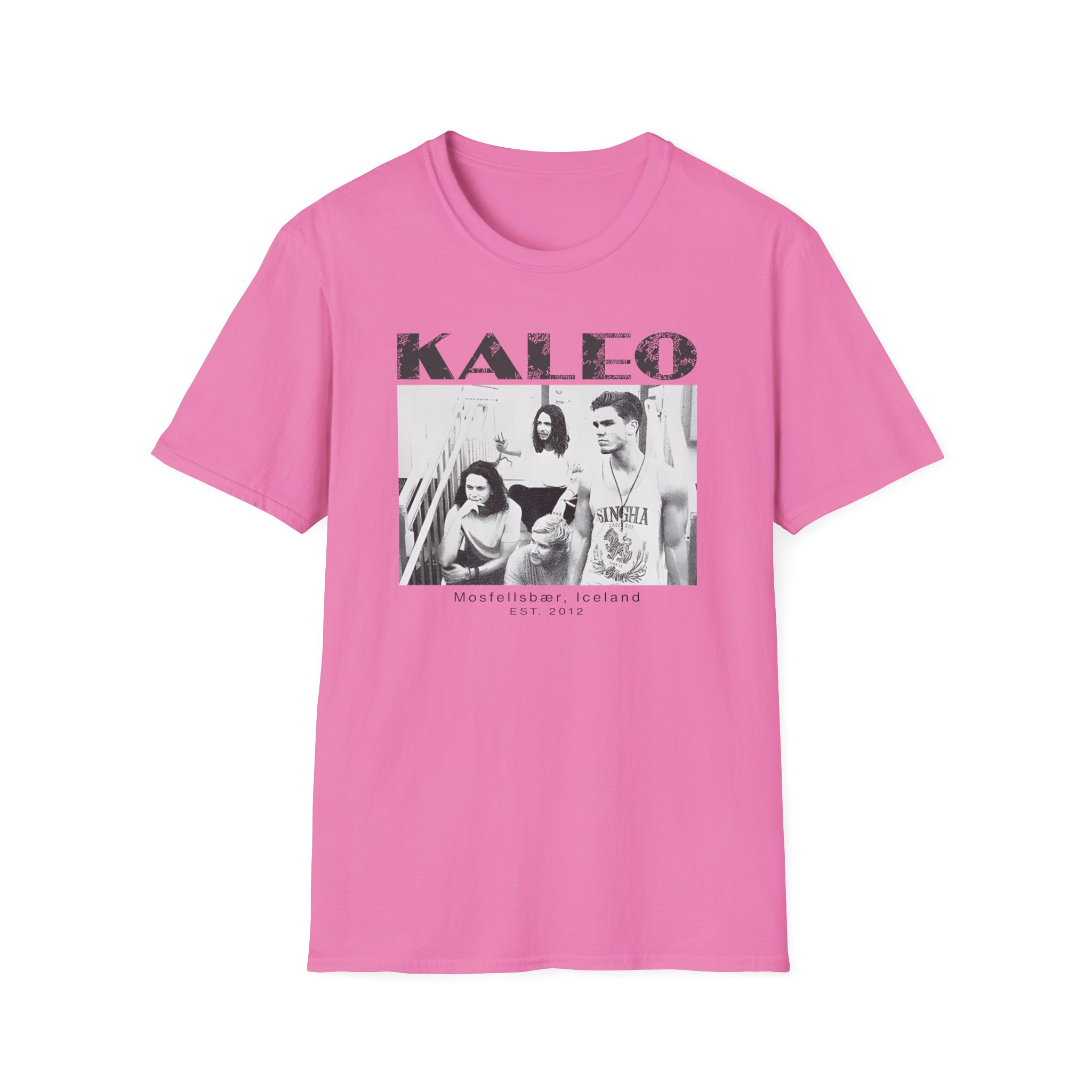 Kaleo 10 Year Anniversary Unisex Softstyle T-Shirt