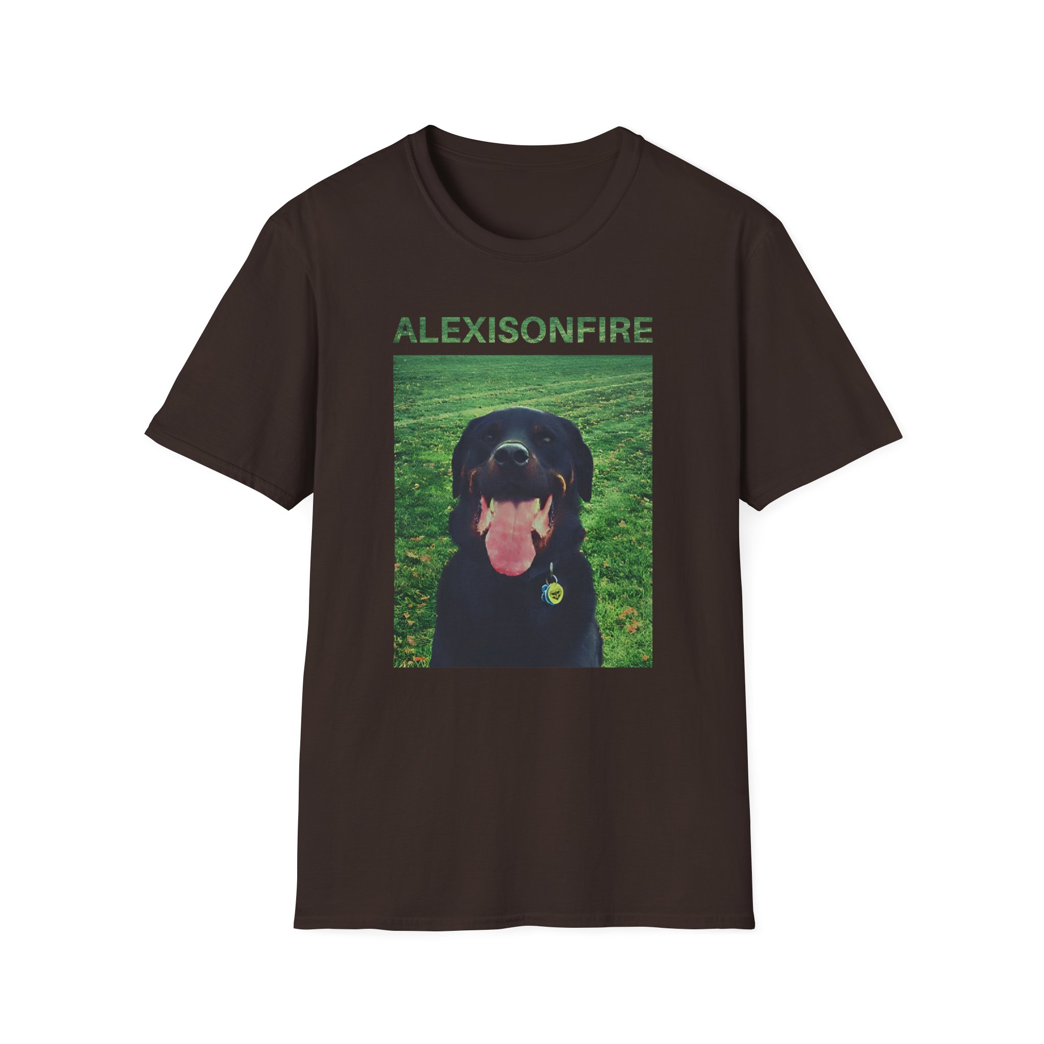 Alexisonfire Brixton Unisex Softstyle T-Shirt