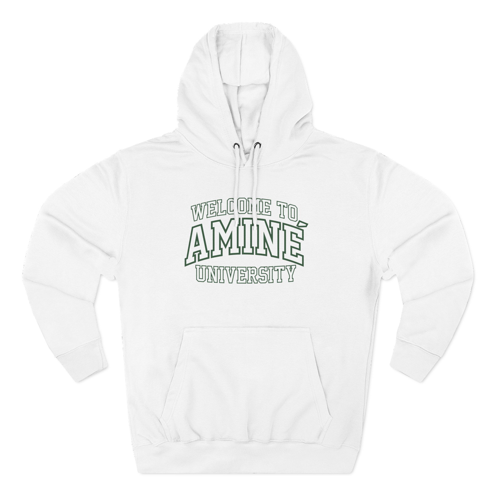 Aminé University Three-Panel Fleece Hoodie