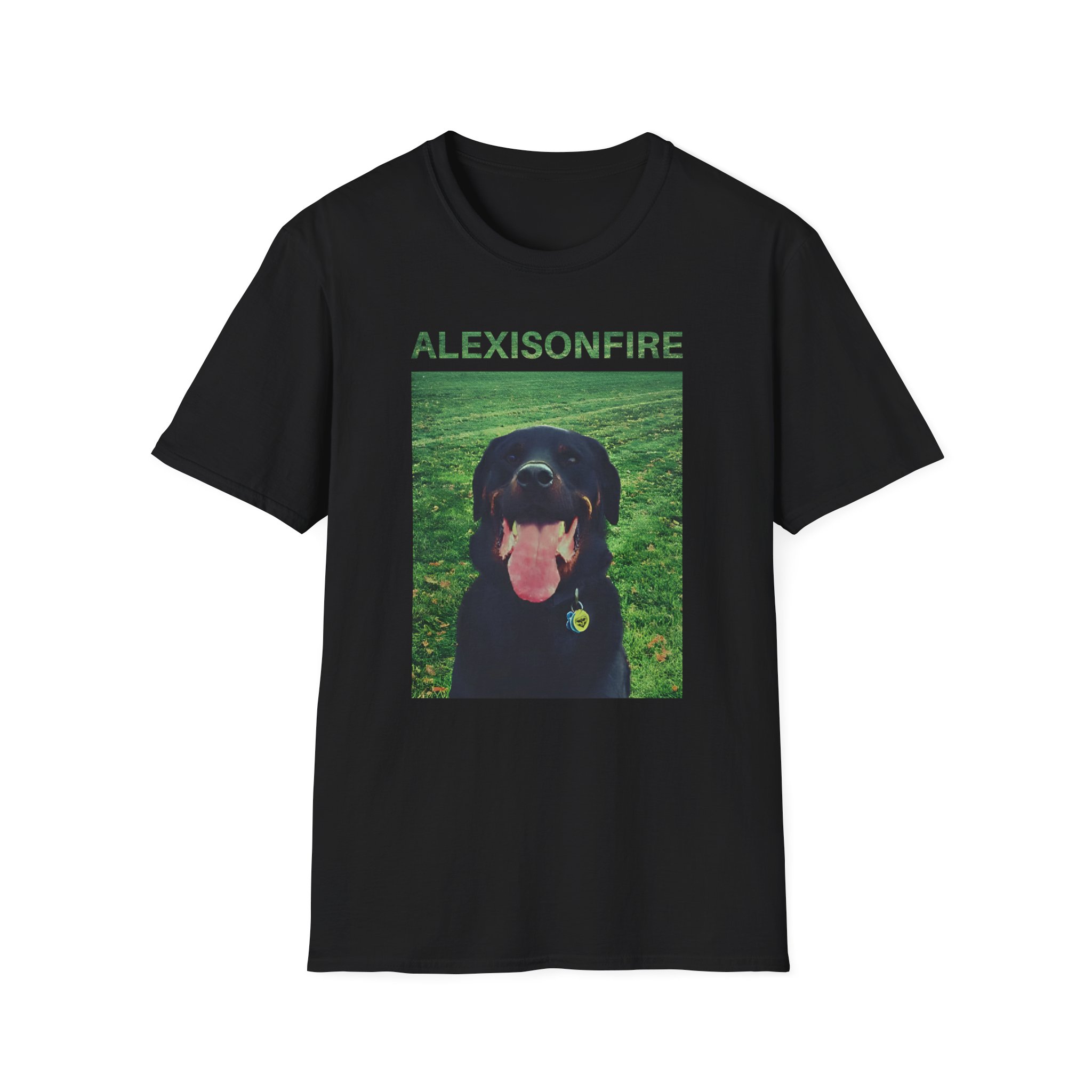 Alexisonfire Brixton Unisex Softstyle T-Shirt