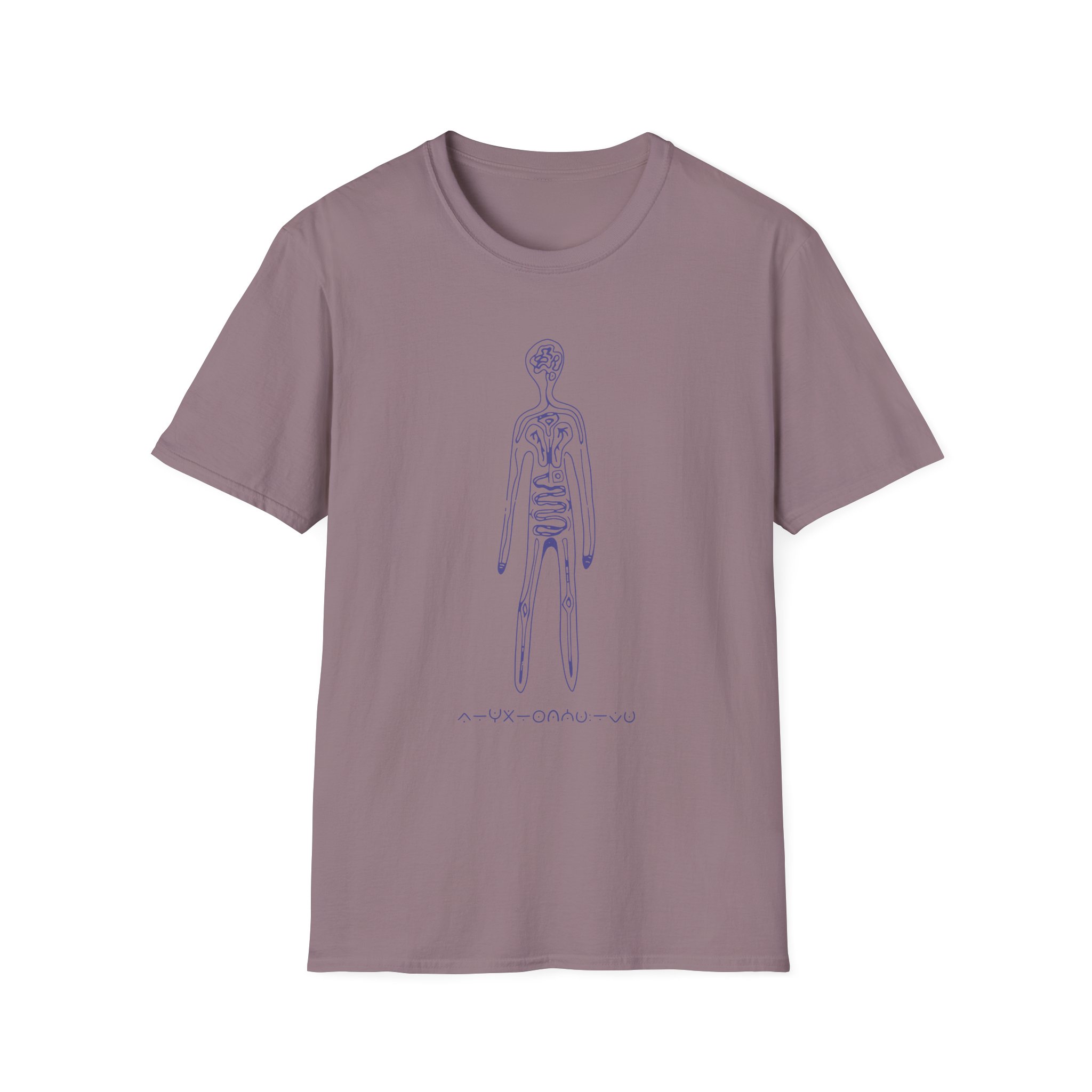 Aurora Step 2 Unisex Softstyle T-Shirt