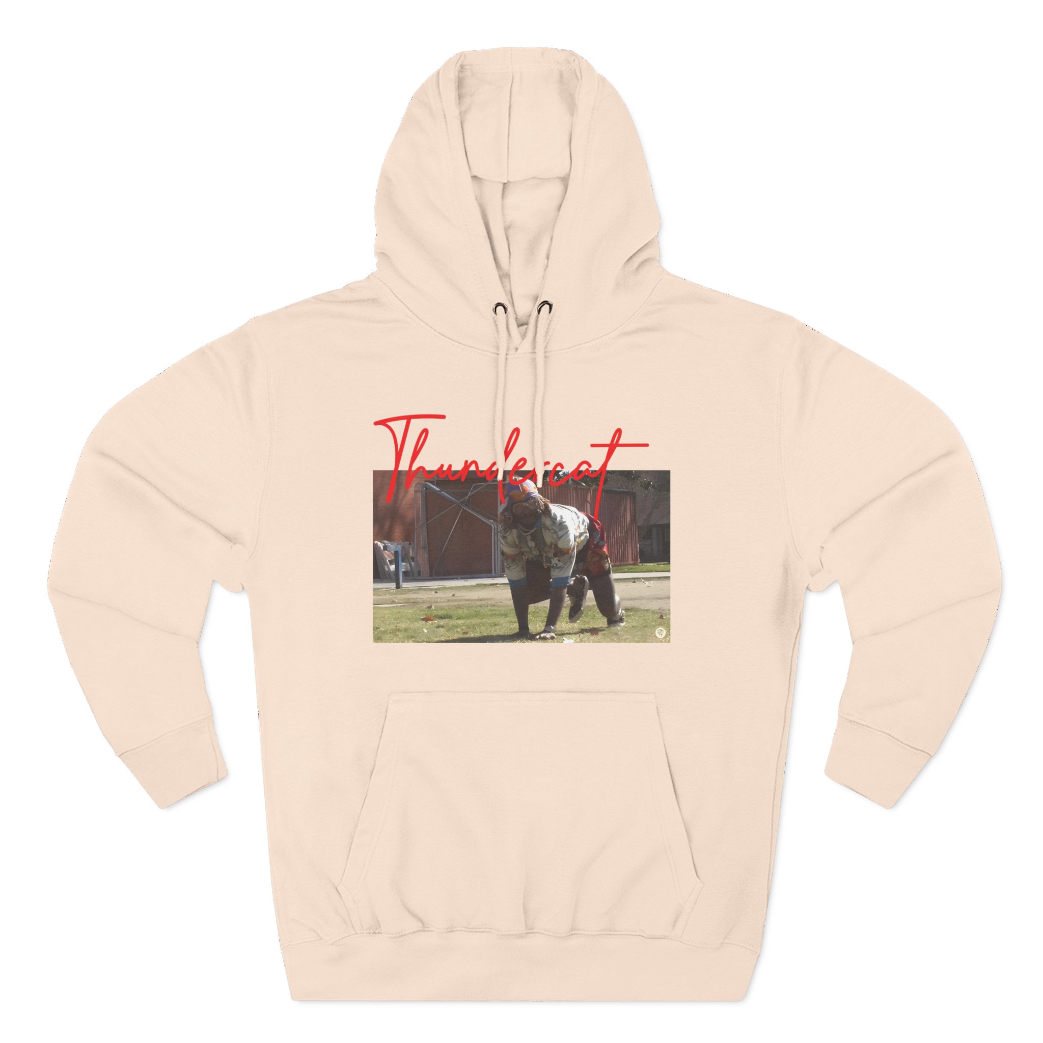 Thundercat Crouching Three-Panel Fleece Hoodie