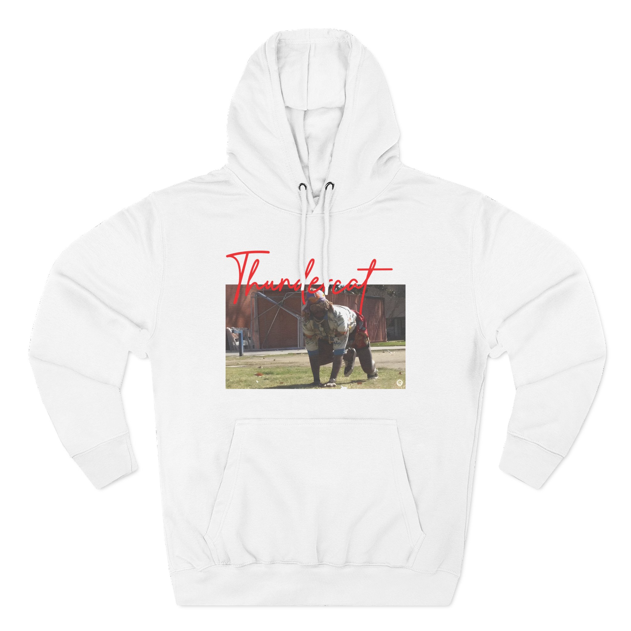 Thundercat Crouching Three-Panel Fleece Hoodie