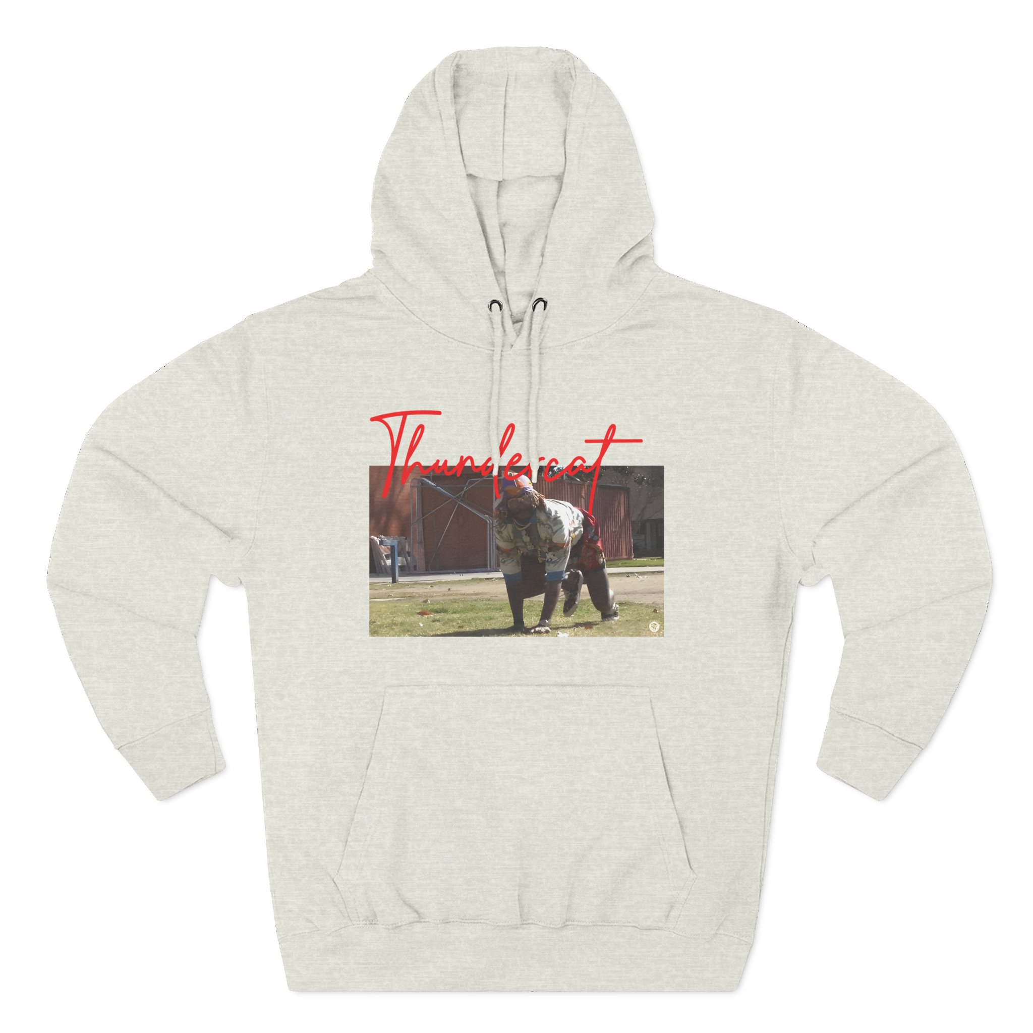 Thundercat Crouching Three-Panel Fleece Hoodie