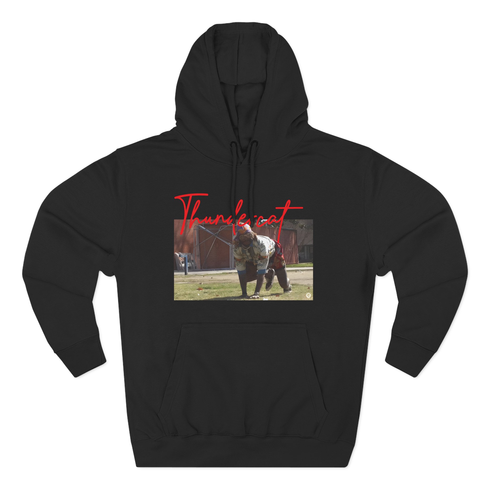 Thundercat Crouching Three-Panel Fleece Hoodie