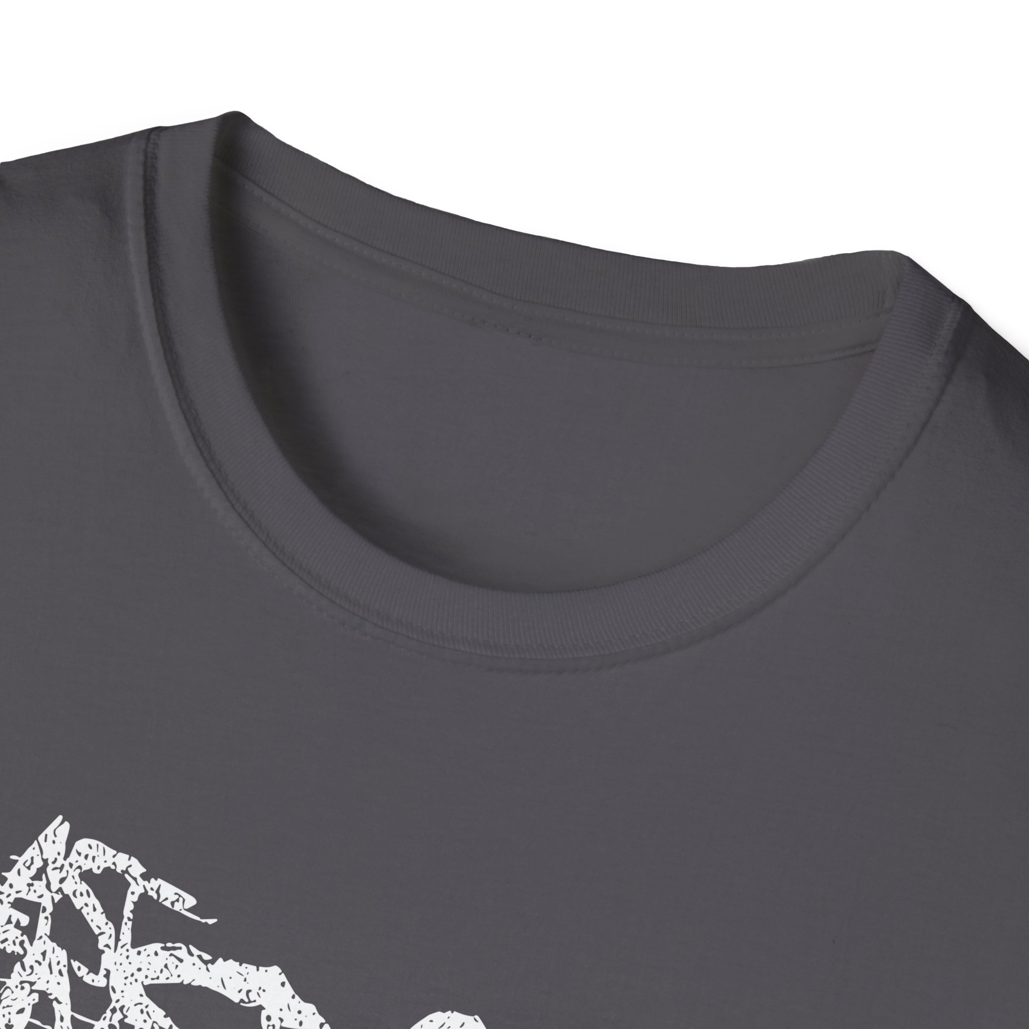 The Last Ten Seconds of Life Unisex Softstyle T-Shirt