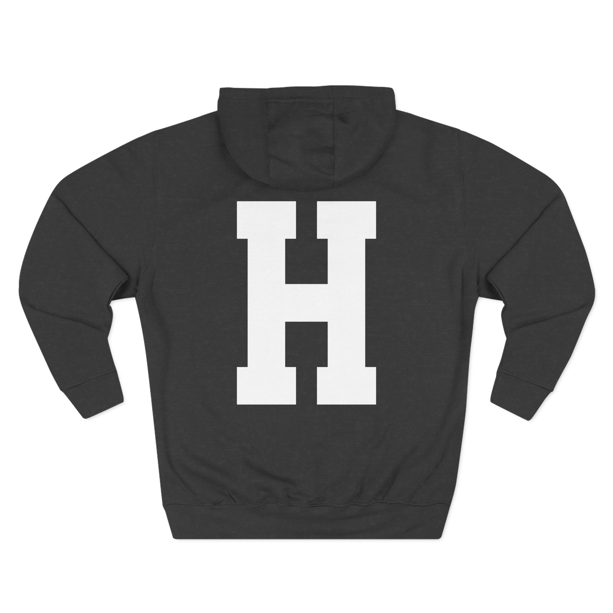 Hailee Steinfeld Haiz Three-Panel Fleece Hoodie