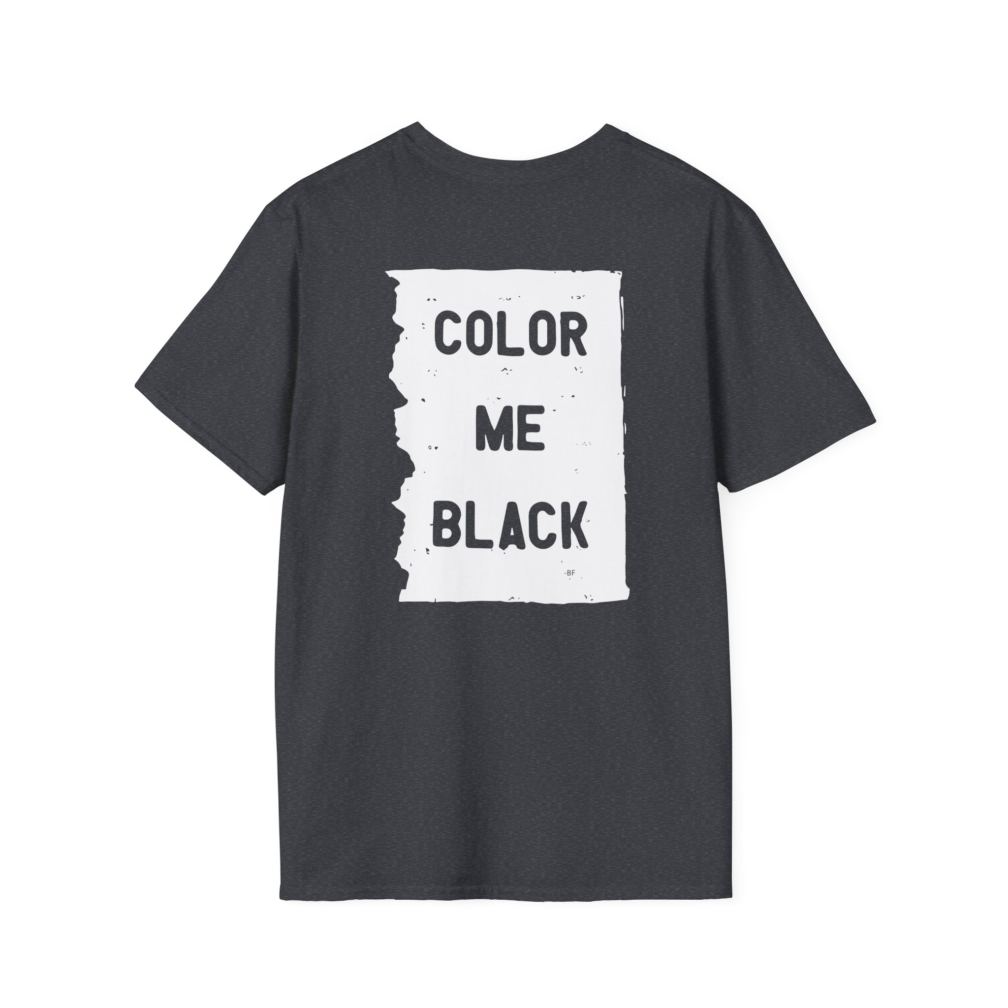 Brian Fallon My Name Is The Night Unisex Softstyle T-Shirt