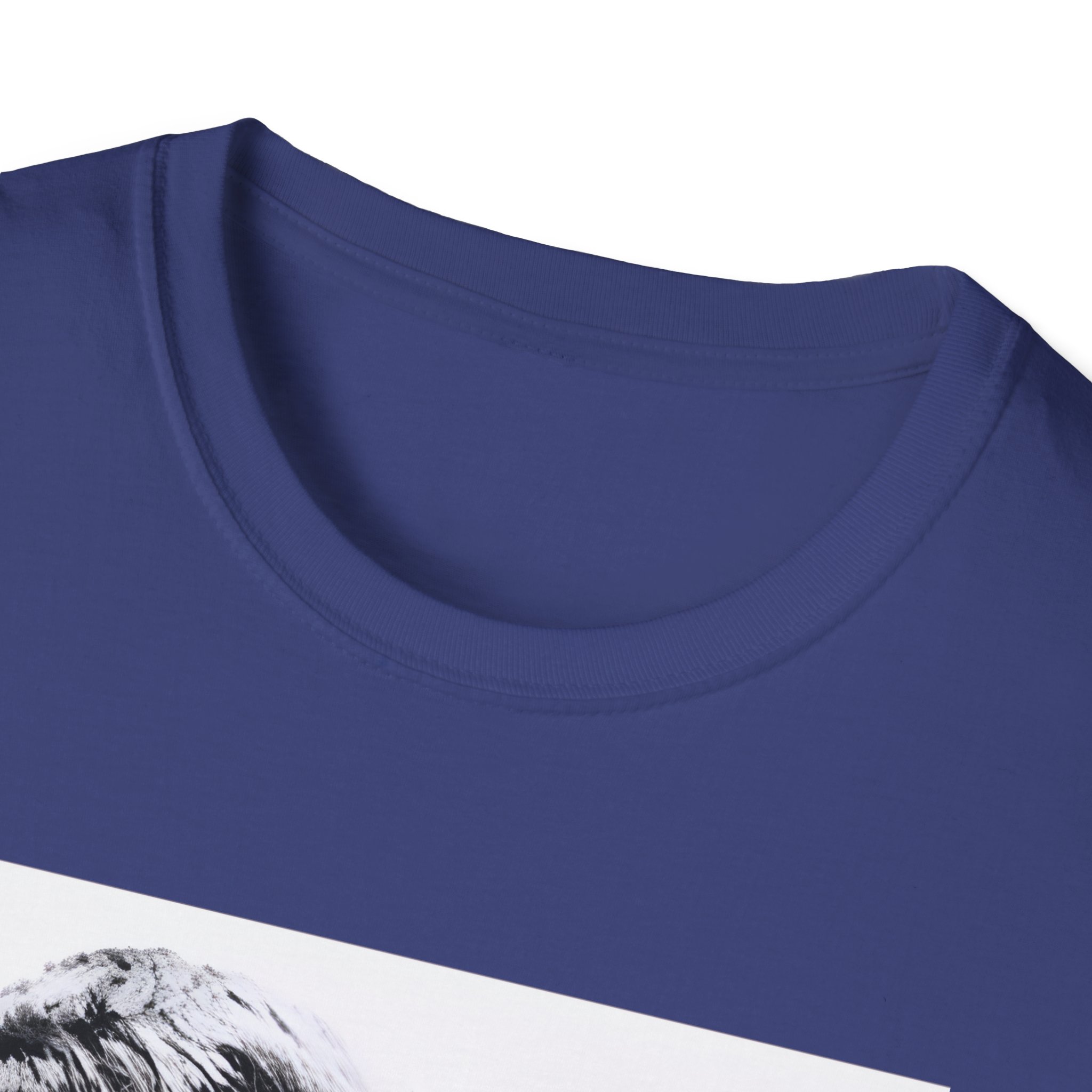 Oasis Liam & Noel Unisex Softstyle T-Shirt