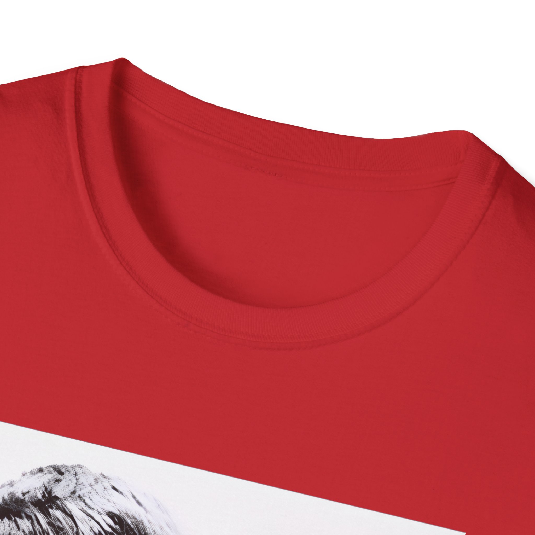 Oasis Liam & Noel Unisex Softstyle T-Shirt