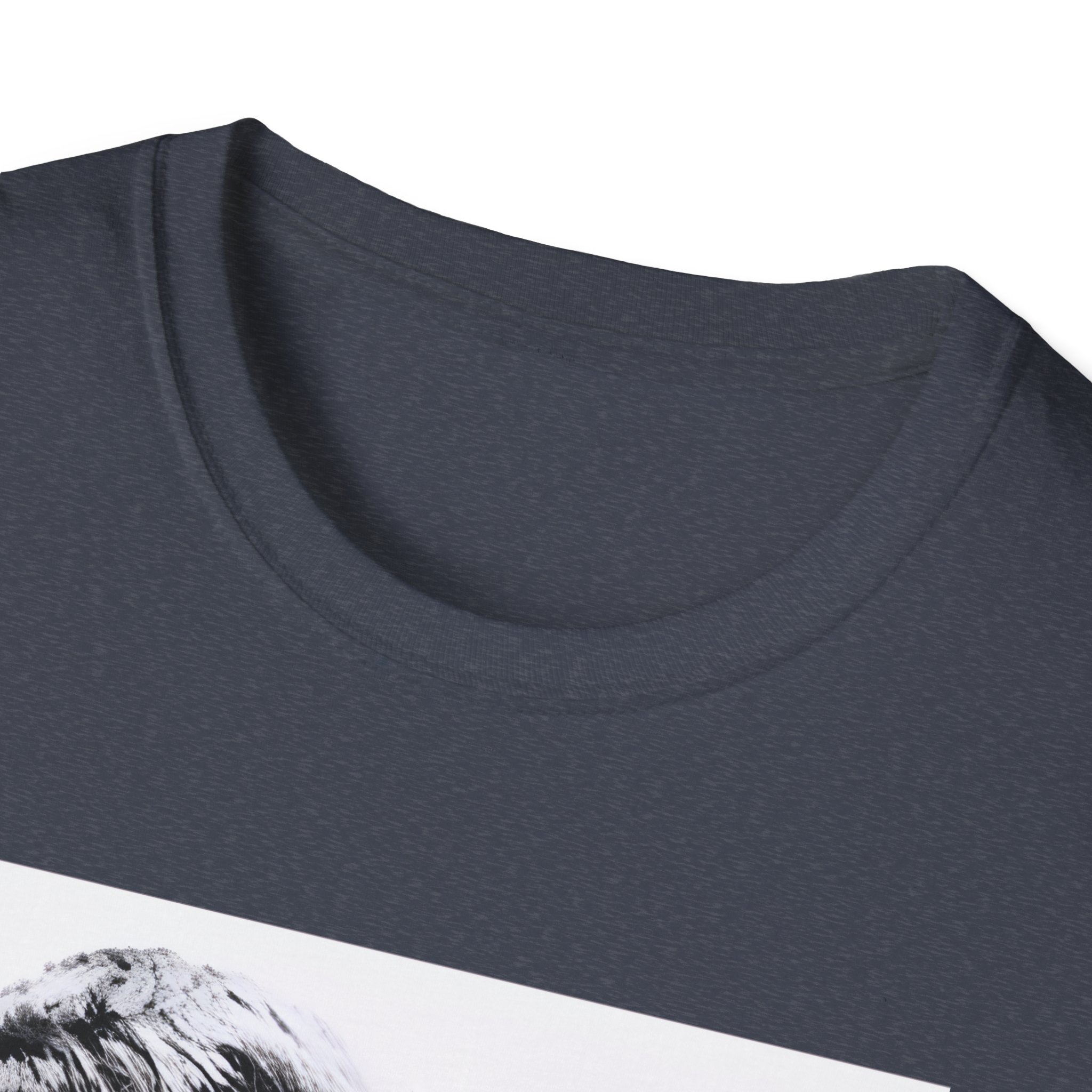 Oasis Liam & Noel Unisex Softstyle T-Shirt