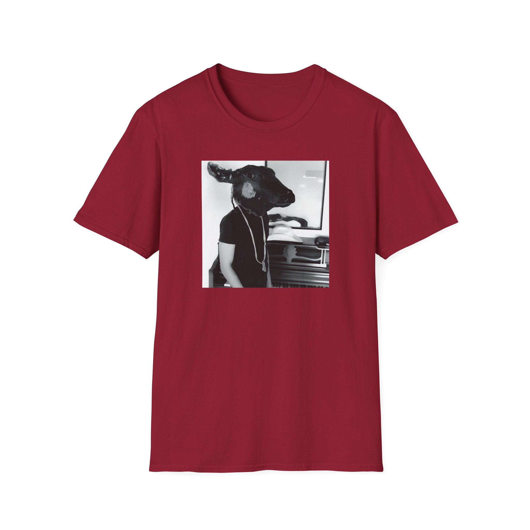 Shakey Graves Roll the Bones Unisex Softstyle T-Shirt