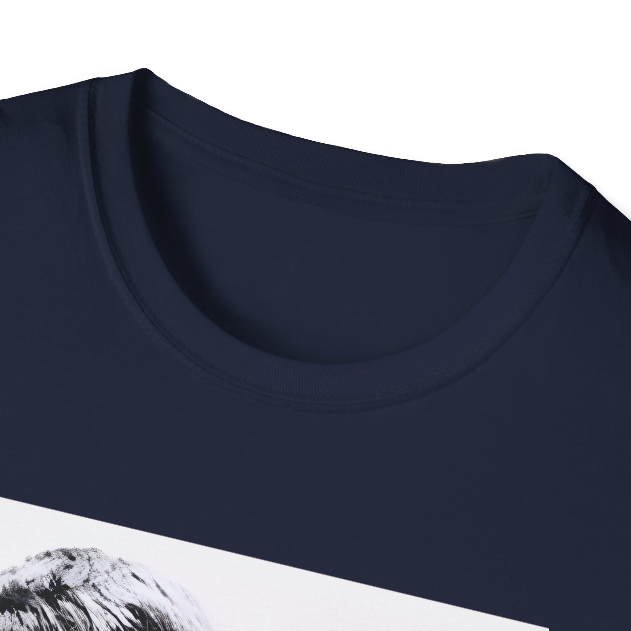 Oasis Liam & Noel Unisex Softstyle T-Shirt