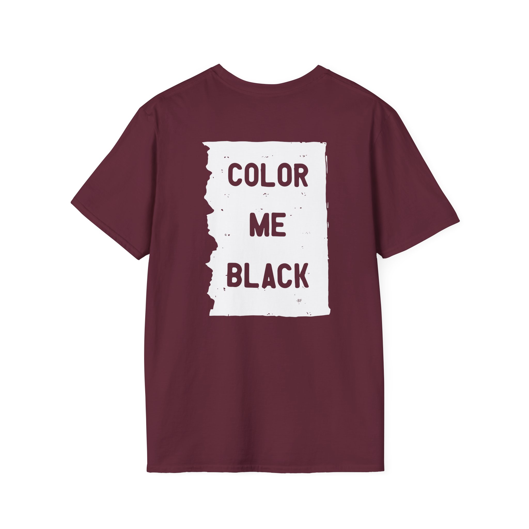 Brian Fallon My Name Is The Night Unisex Softstyle T-Shirt