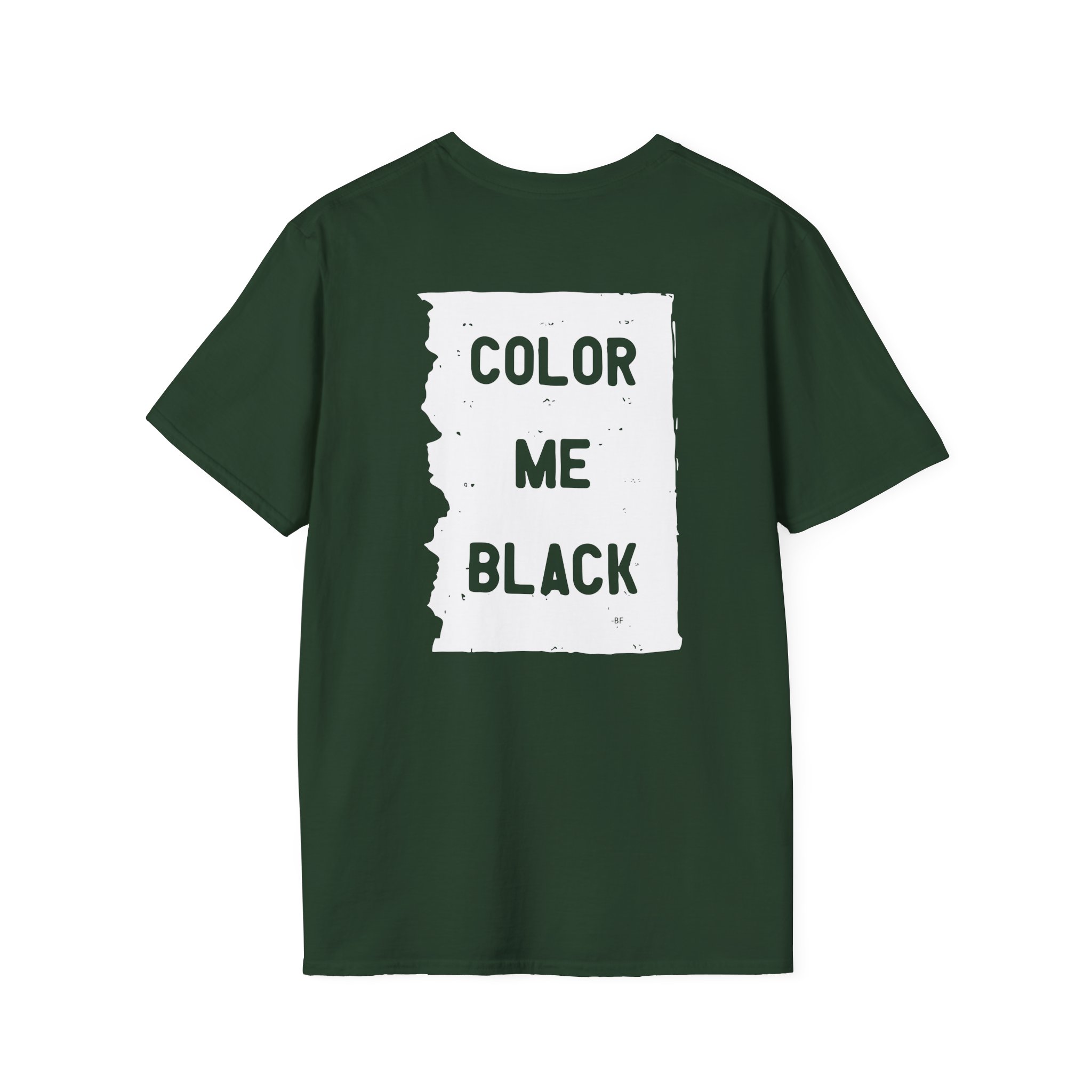 Brian Fallon My Name Is The Night Unisex Softstyle T-Shirt