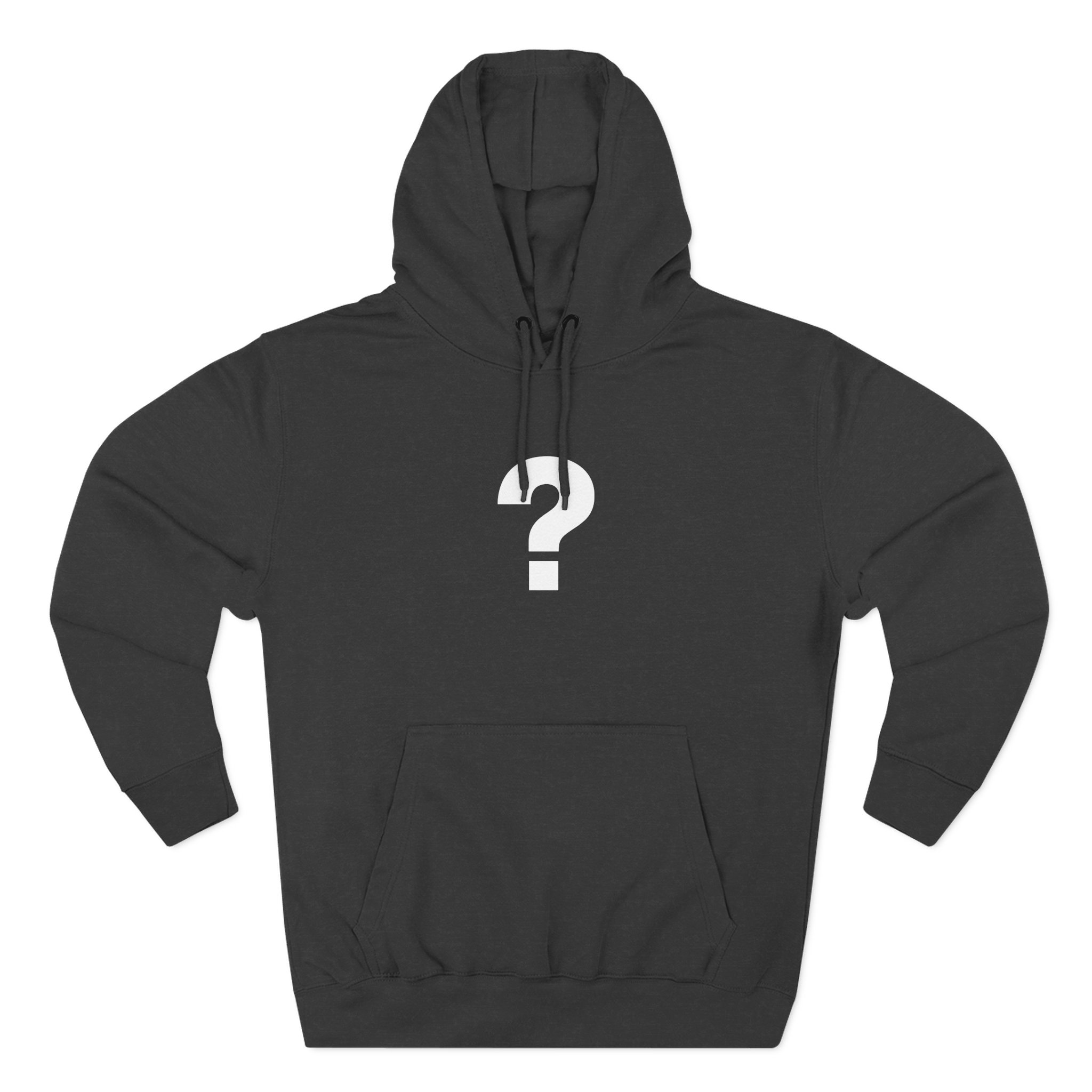 The Front Bottoms Mystery Three-Panel Fleece Hoodie