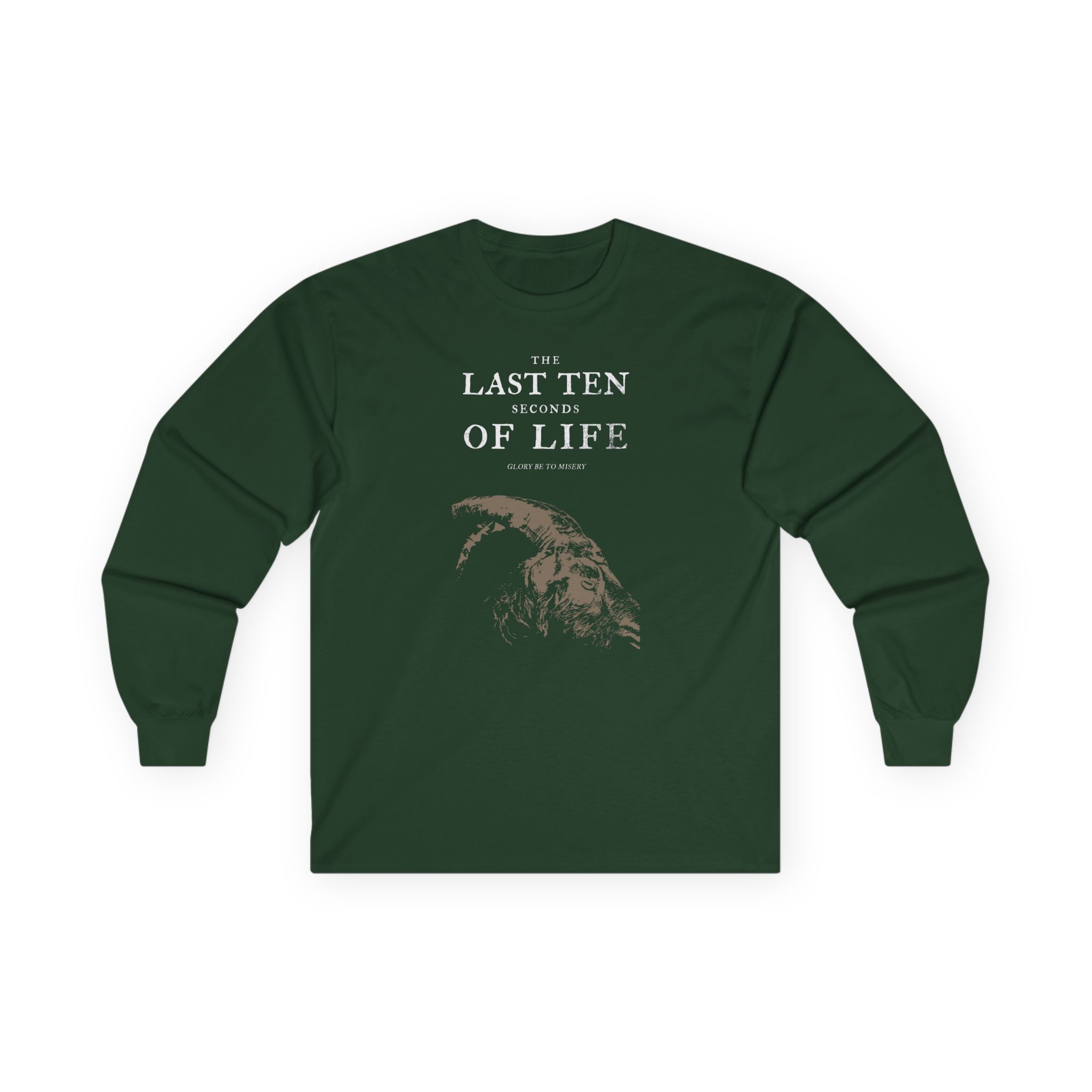 Unisex Ultra Cotton Long Sleeve Tee