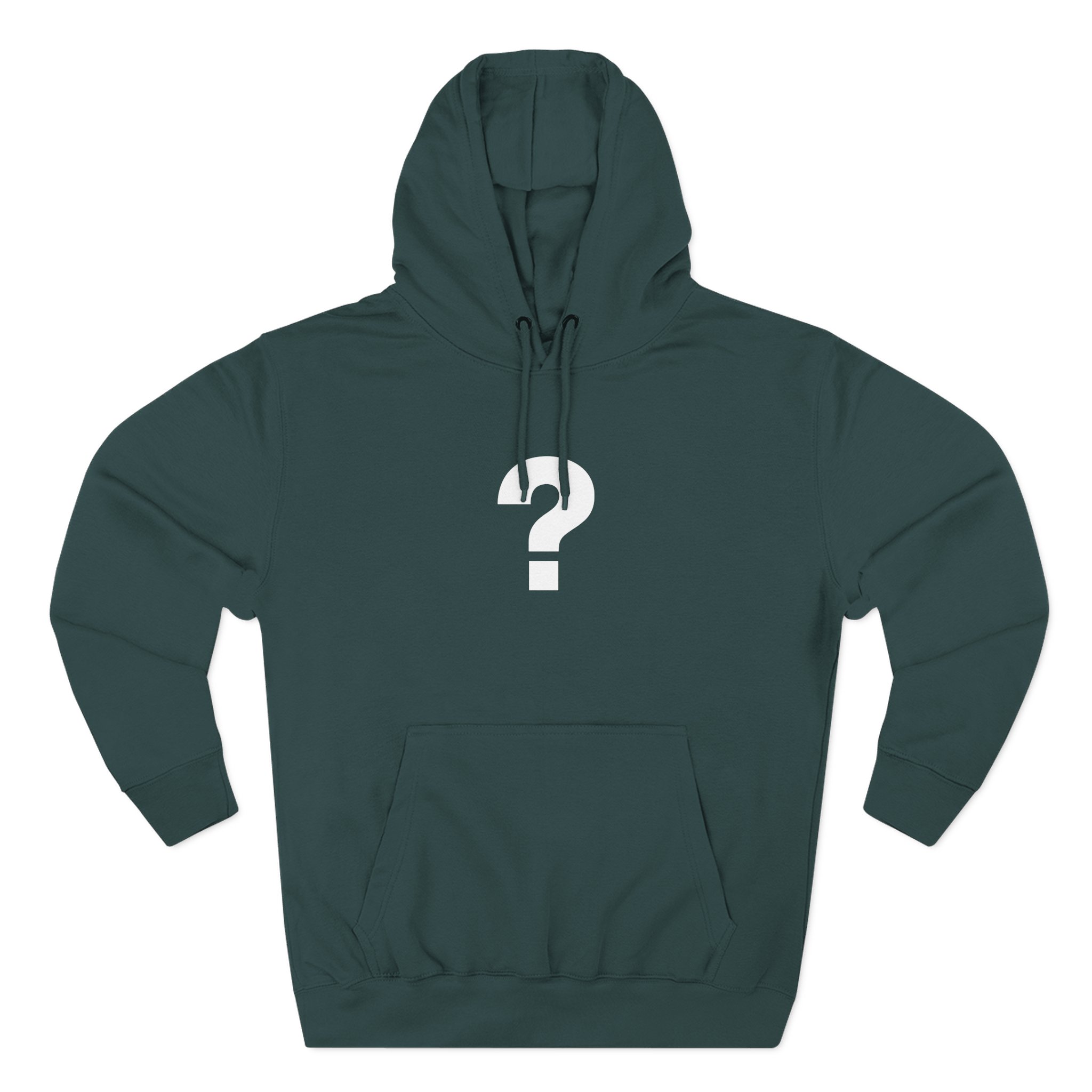 The Front Bottoms Mystery Three-Panel Fleece Hoodie